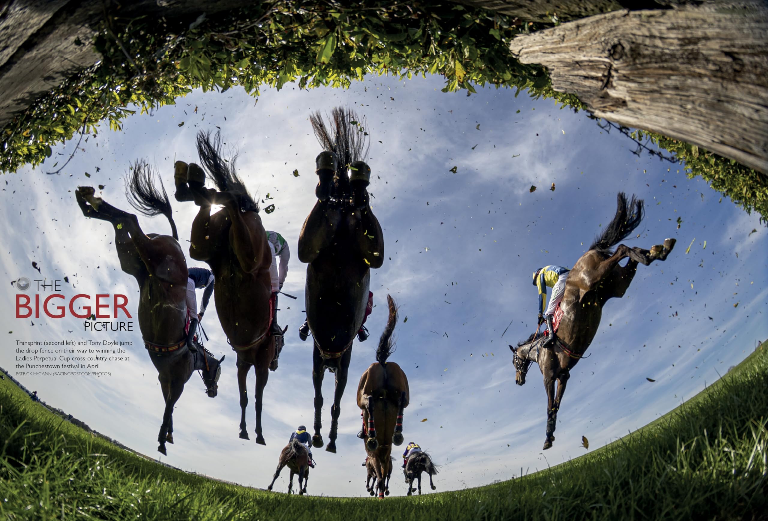 Racing Post Annual 2026