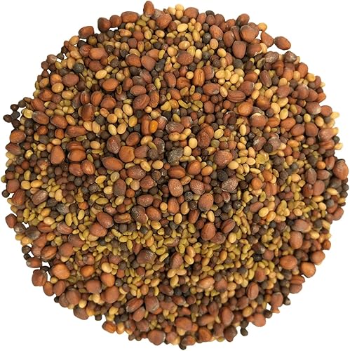 Miniatura 3 de Mezcla de ensalada orgánica de semillas germinantes, 1 libra, brócoli sin OMG, rábano, trébol, alfalfa. Rica tasa de germinación, no irradiada,