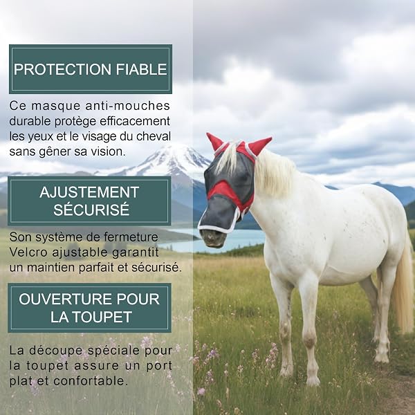 Masque Anti-Mouches pour Chevaux, Couvre-Nez et Oreilles, Protection Anti-UV, Maille Respirante, Grands Yeux, Ouvertures pour Les Poils du Front, sans Frottement, Rouge Large - 2
