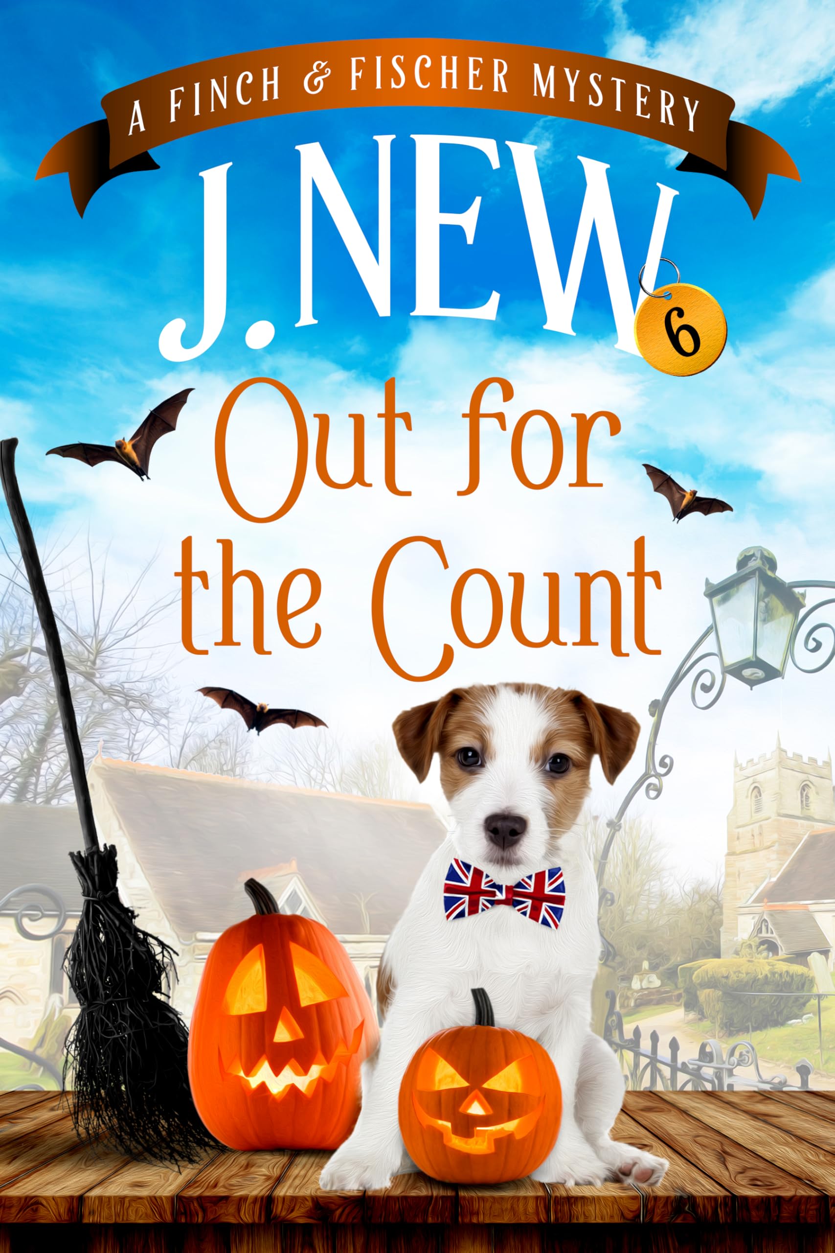 Out for the Count: A British Female Amateur Sleuth Mystery (The Finch & Fischer Mysteries Book 6)