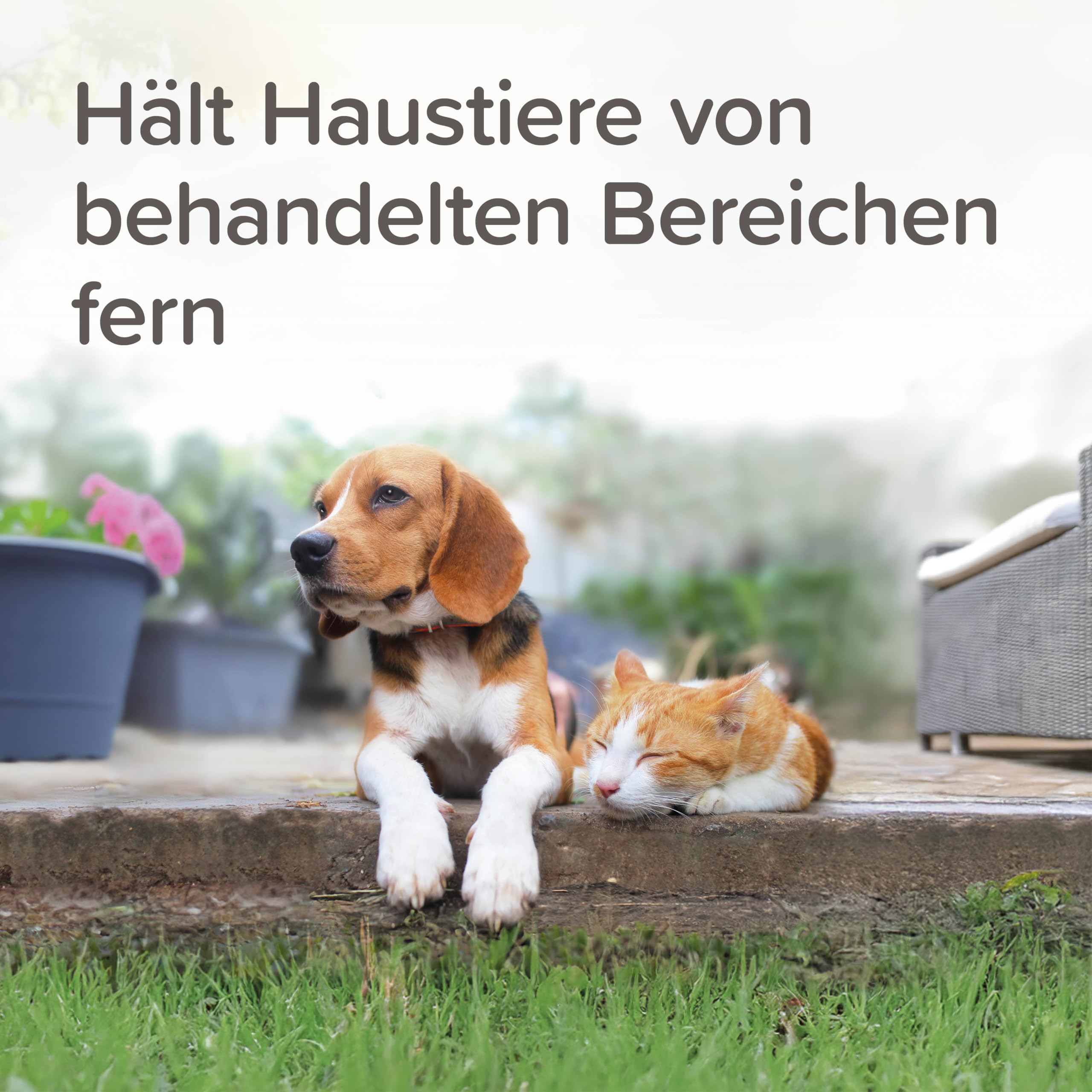 beaphar - Keep Off Fernhalte-Granulat Outdoor - Hält Hunde Und Katzen Von Behandelten Bereichen Fern - Fernhaltemittel - Bis Zu DREI Monate Wirksam - 2X 200 gr