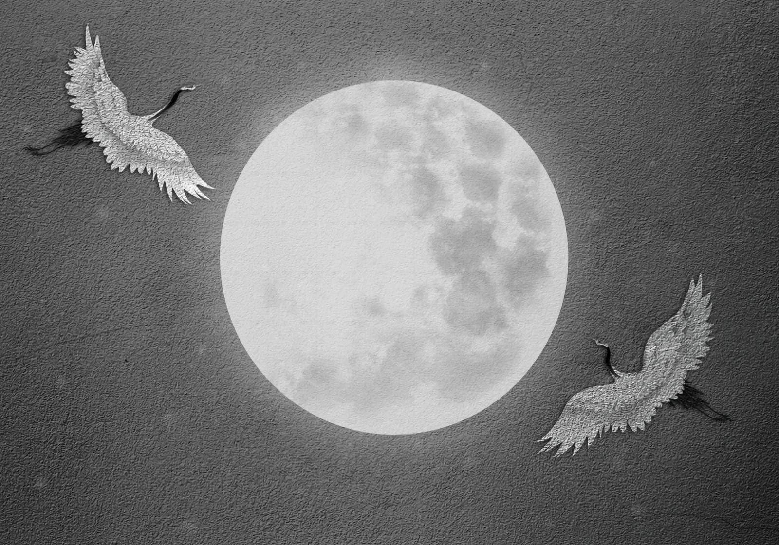 Papier Peint Panoramique 3d Lune Haute Définition XL