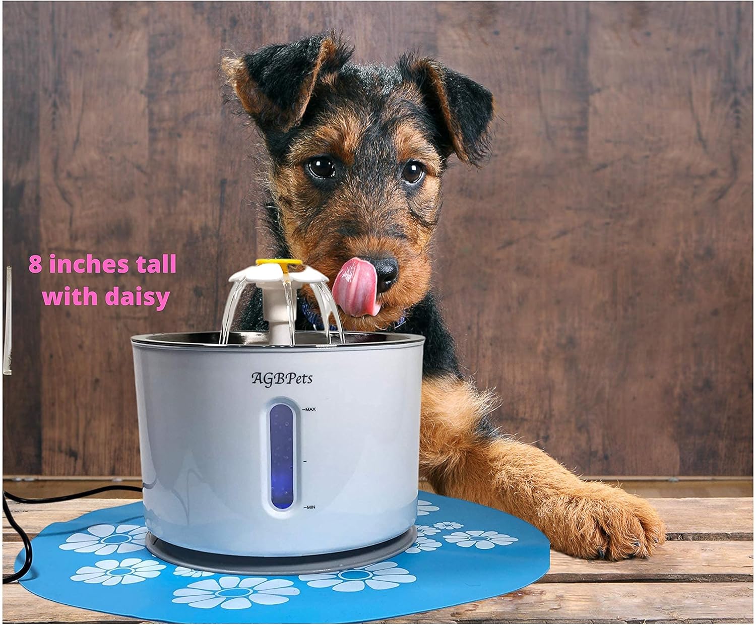 Automatic Pet Drinking Fountain/Waterer with Stainless Steel Tray, 81oz/2.4 Liter Auto/Self Shut Off Pump, RED and BLUE LED Water Level Window