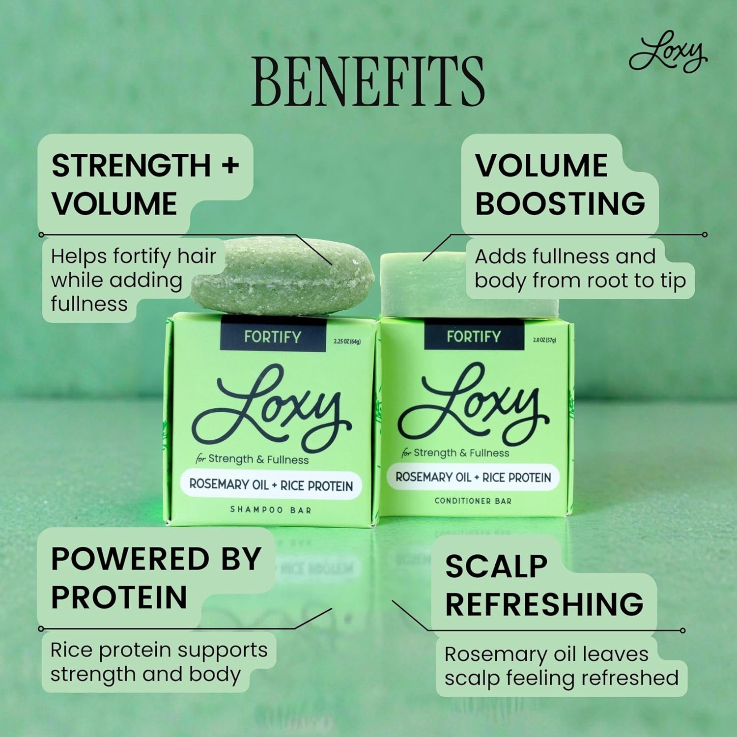 Loxy Fortify Shampoo and Conditioner Bar Soap Set | Rosemary, Litsea, and Grapefruit Oil | Rice Protein, Ginseng, & Caffeine | Hair Strengthening and Volumizing | Made in USA