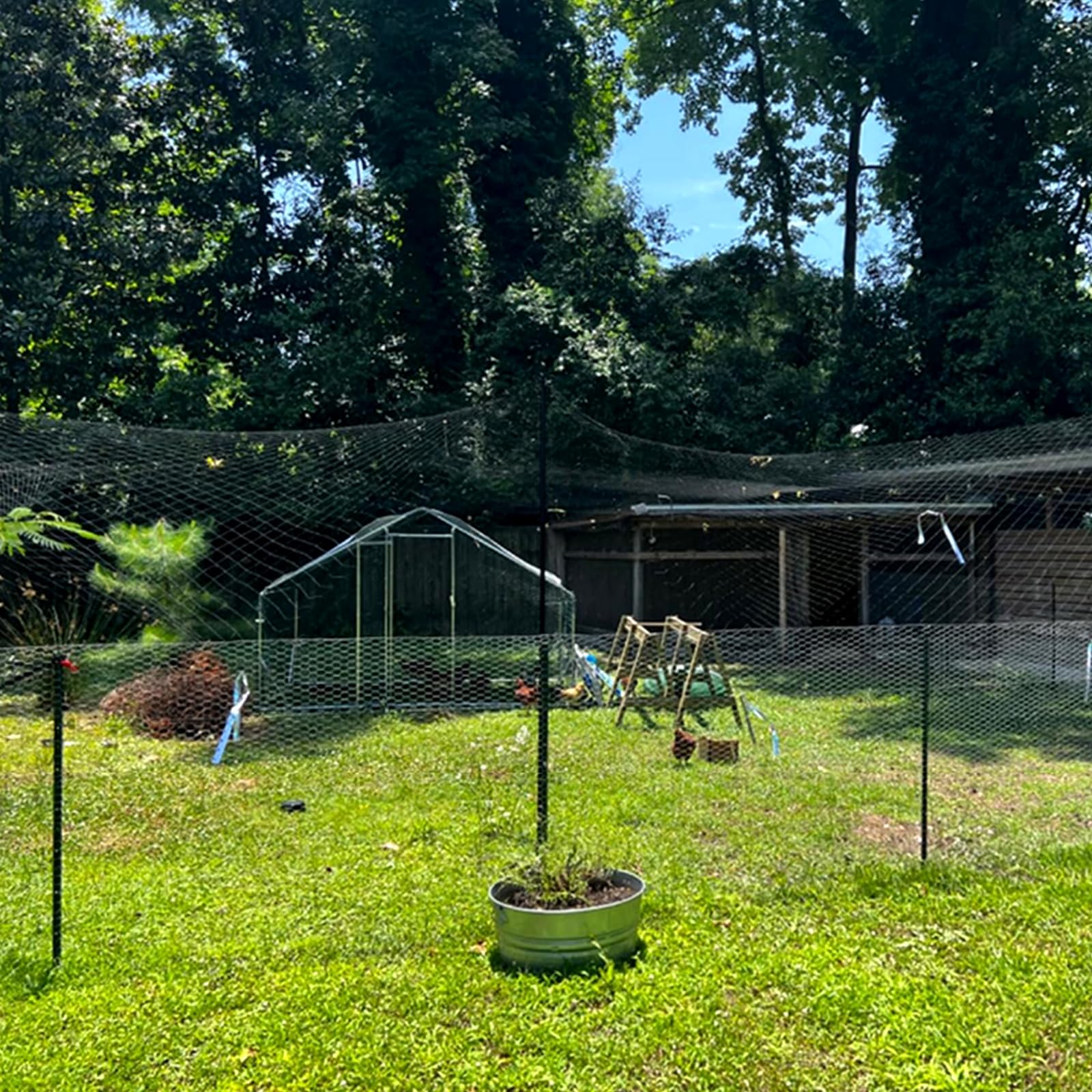 Rete Anti-uccelli Per Pollaio - Rete Da Giardino Con Maglie Da 5 Cm Per Mirtilli Alberi Da Frutto E Verdure Tiene Fuori Uccelli Cervi E Scoiattoli 75 X 15 M 87556952