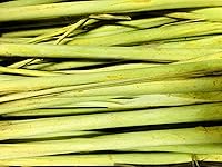 Vista 4 de Kejora Hierba de limón fresca 12 tallos