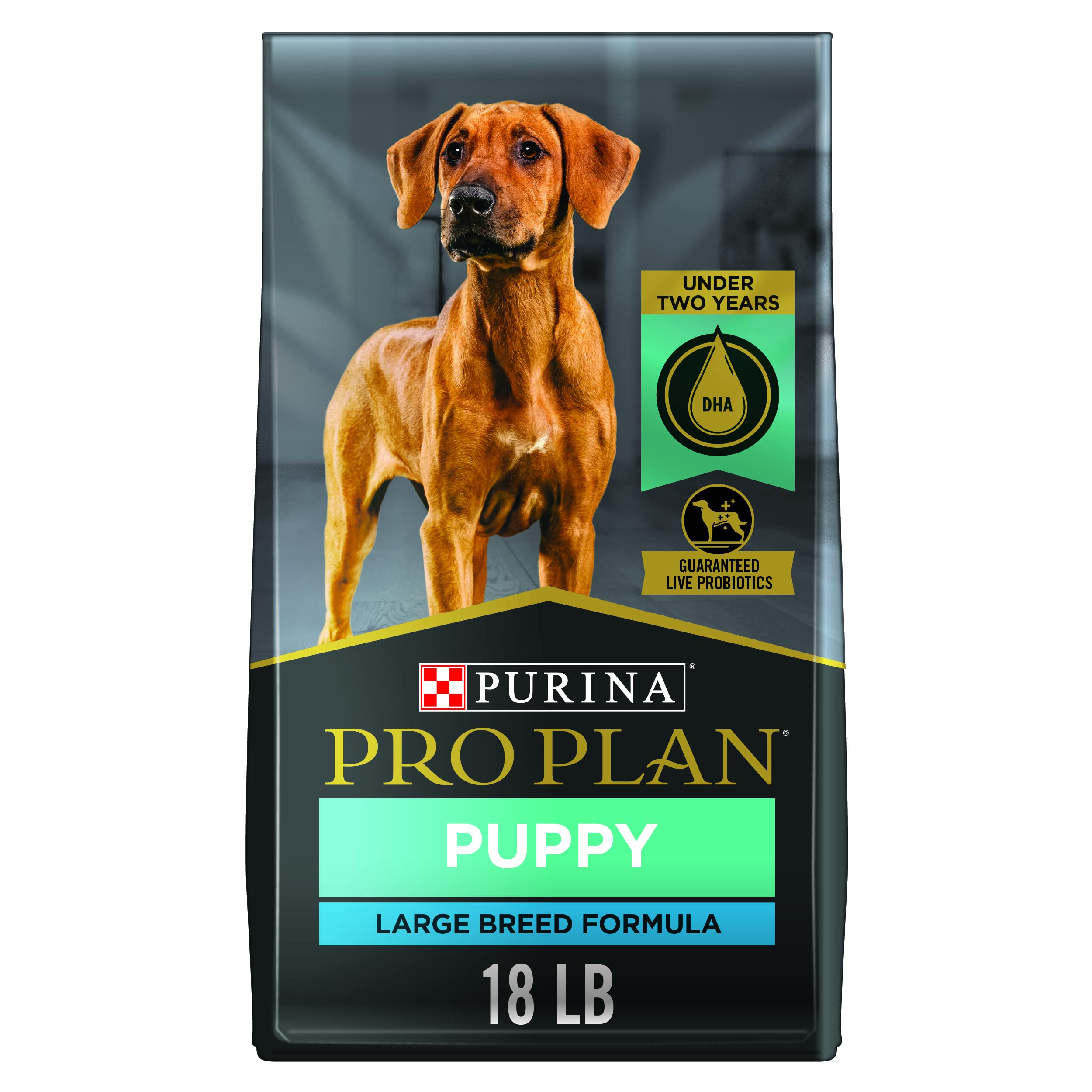 Buy Purina Pro Plan Large Breed Dry Puppy Food, Chicken and Rice