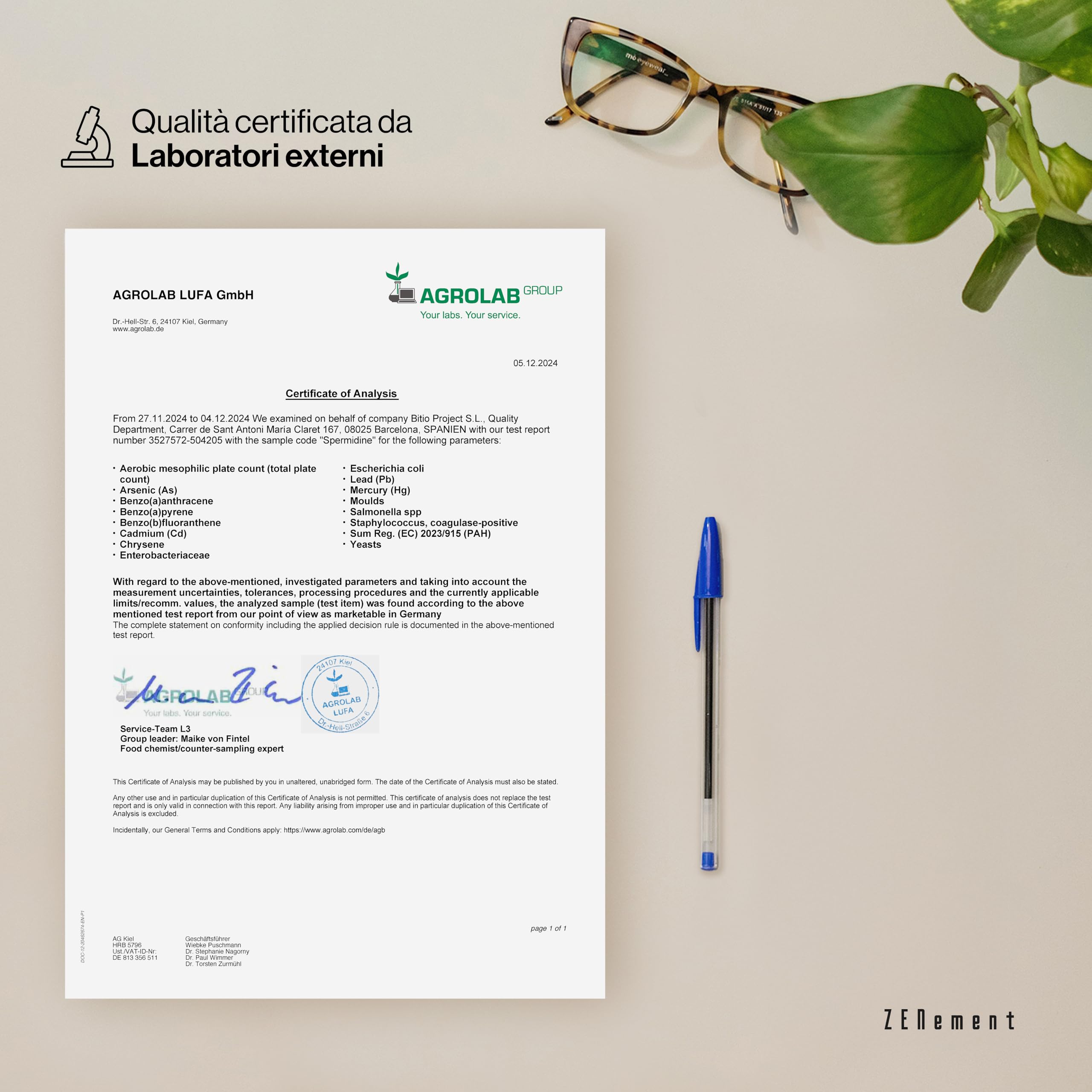 Spermidina - 6 mg per Capsula con Vitamina B1 e Zinco, Alto Dosaggio, 120 Capsule Vegane - Estratto 100% Naturale di Germe di Grano, Senza Additivi, Non-OGM - Zenement