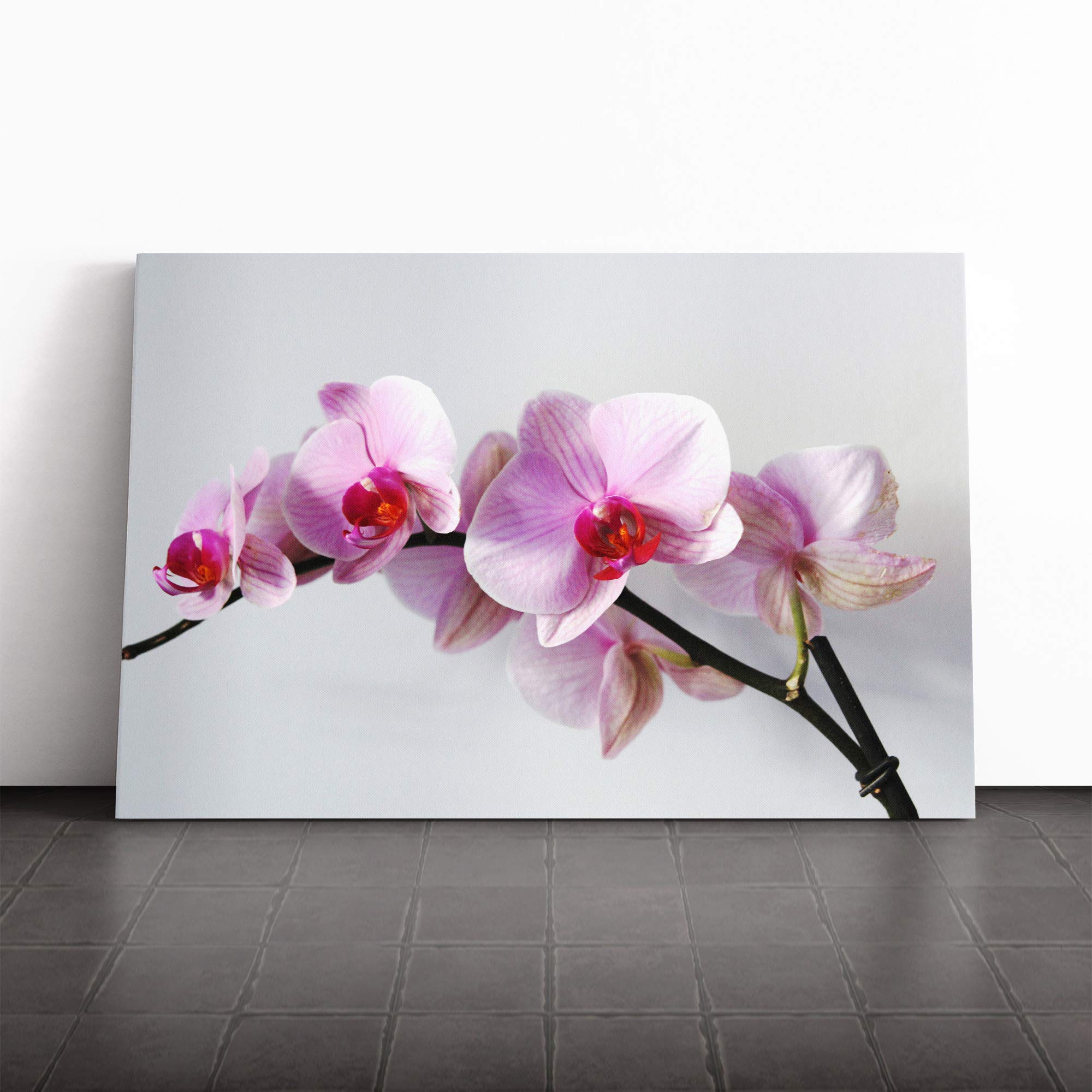 Flower Pink Orchid (2) Canvas Print | Gallery Wrapped 30mm Frame Wall Art | 30x20 inches | Ready to Hang | Modern Floral Picture | Living Room Bedroom Lounge Office