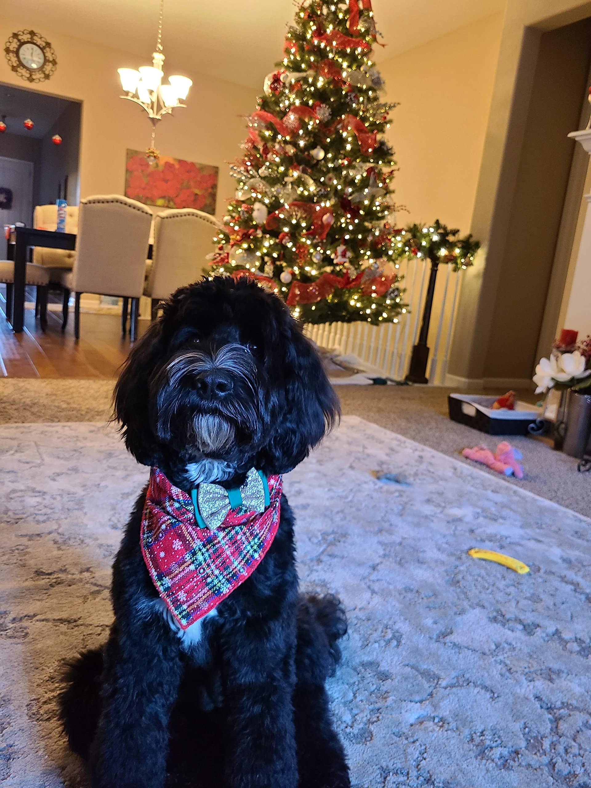 Bandana de Navidad para perros, paquete de 2 pañuelos a cuadros para perros para vacaciones de Navidad