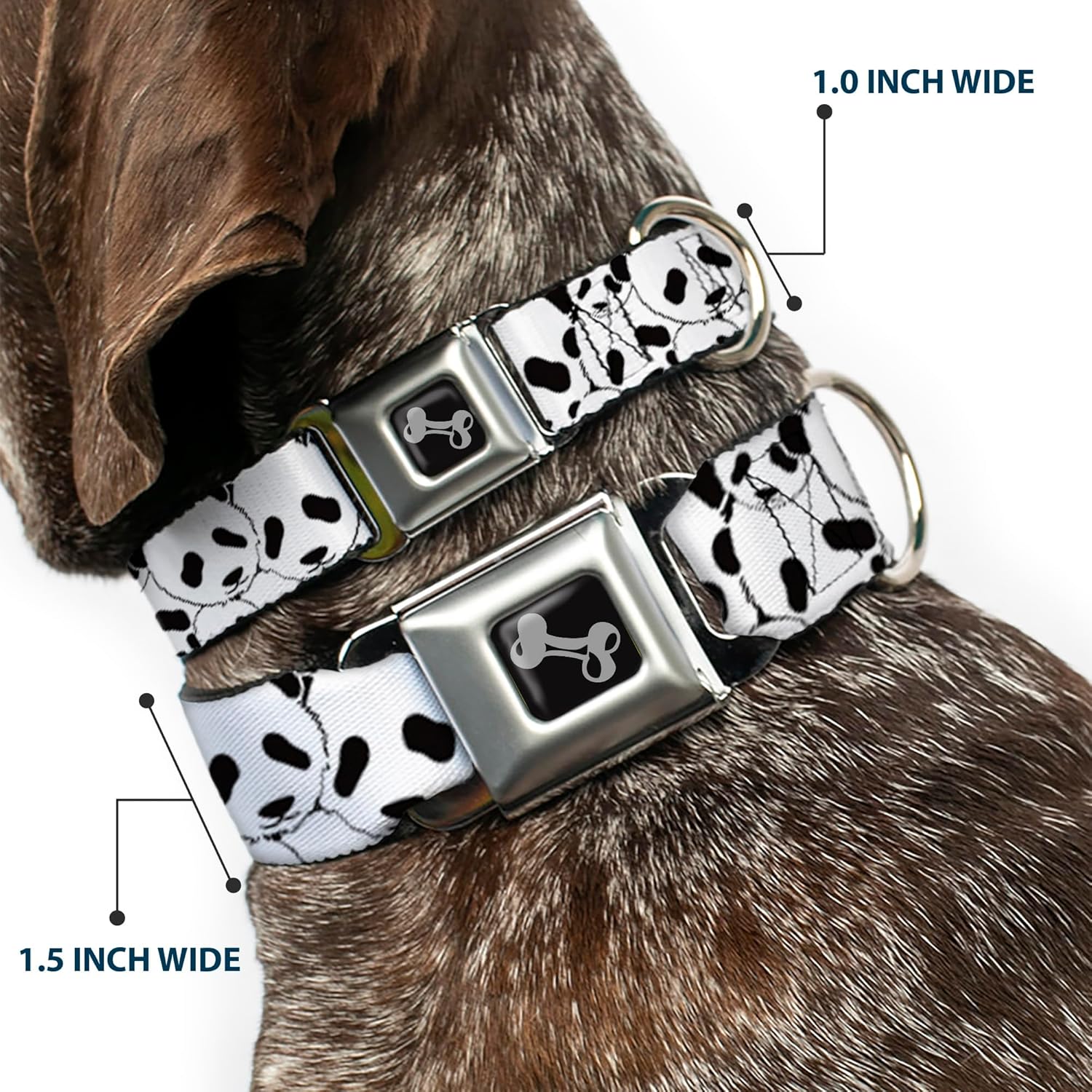 Buckle-Down Dog Collar Seatbelt Buckle Panda Bear Stacked, Multicolor, 1" Wide - Fits 15-26" Neck - Large (DC-W31654-L)