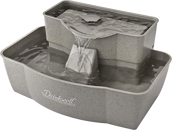 dog bandage protector