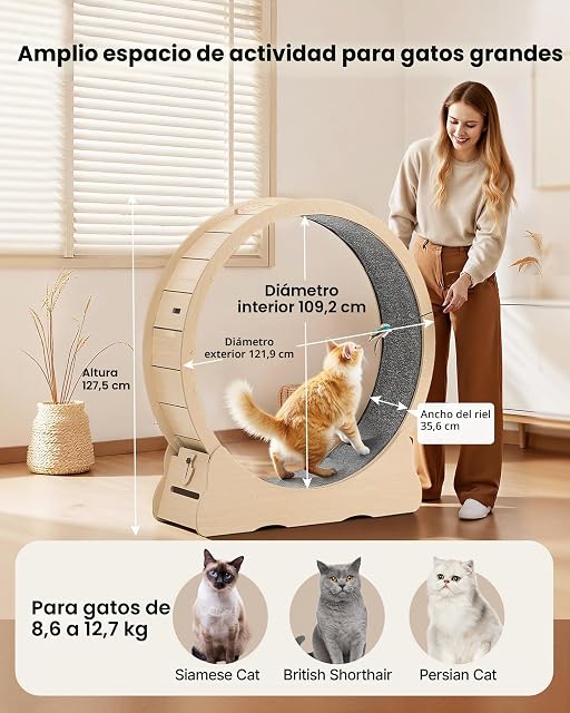 Foto 2 de 8 de VEVOR Rueda de Ejercicio para Gatos, Diámetro Interior de 1080 mm, para Gatos de 8,6 a 12,7 kg