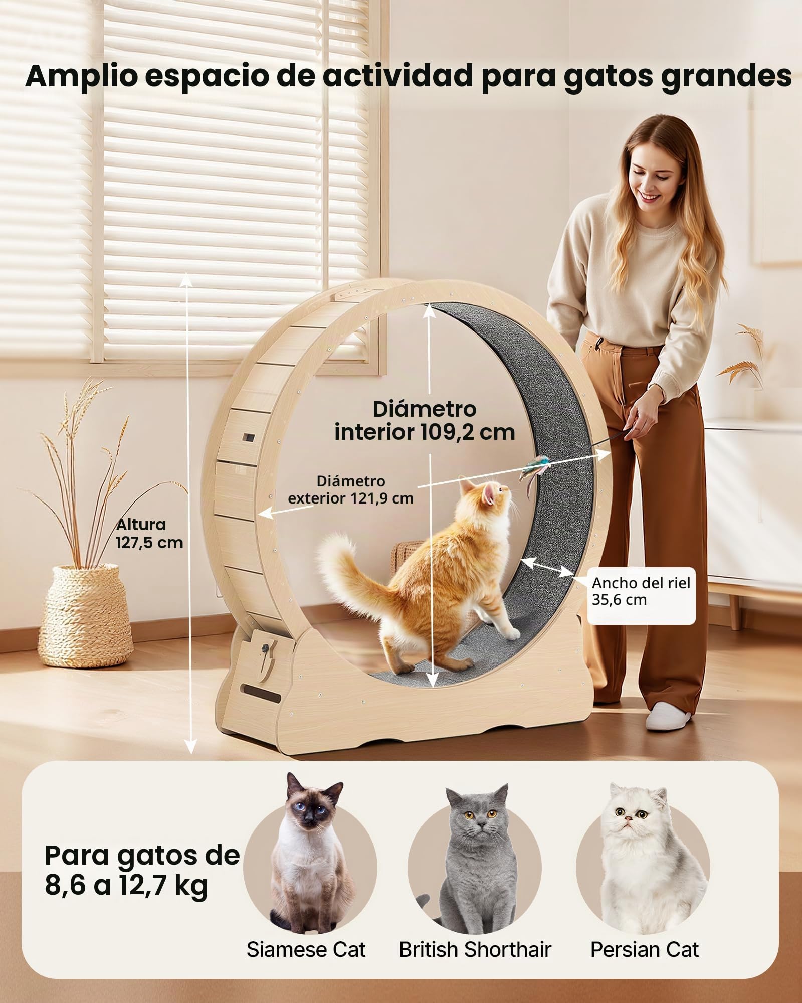 VEVOR Rueda de Ejercicio para Gatos, Diámetro Interior de 1080 mm, para Gatos de 8,6 a 12,7 kg, con Superficie de Alfombra y Mecanismo de Bloqueo, Ruedas Silenciosas de TPE, 1200 x 340 x 1275 mm