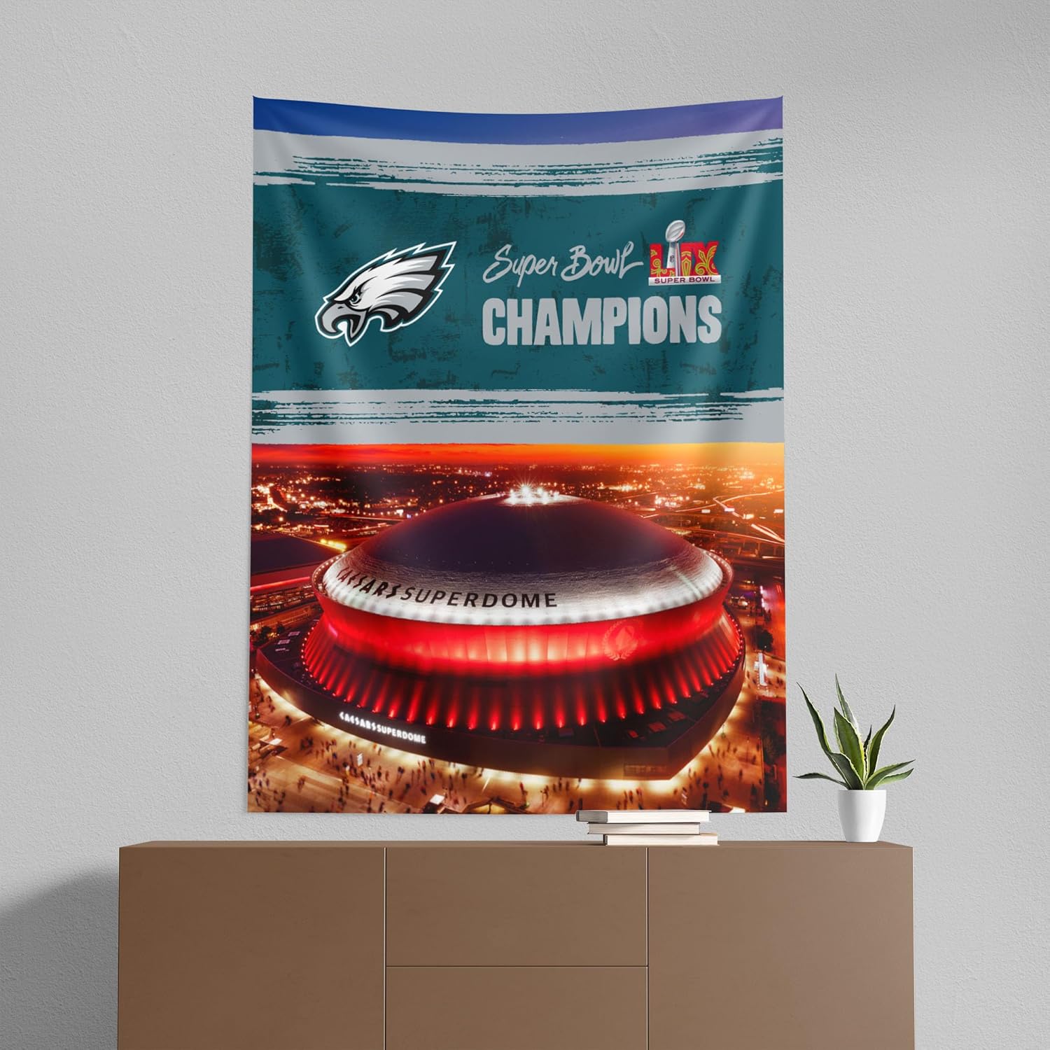 Northwest NFL Philadelphia Eagles 2025 Super Bowl LIX Dome Wall Hanging 50X60 Inches