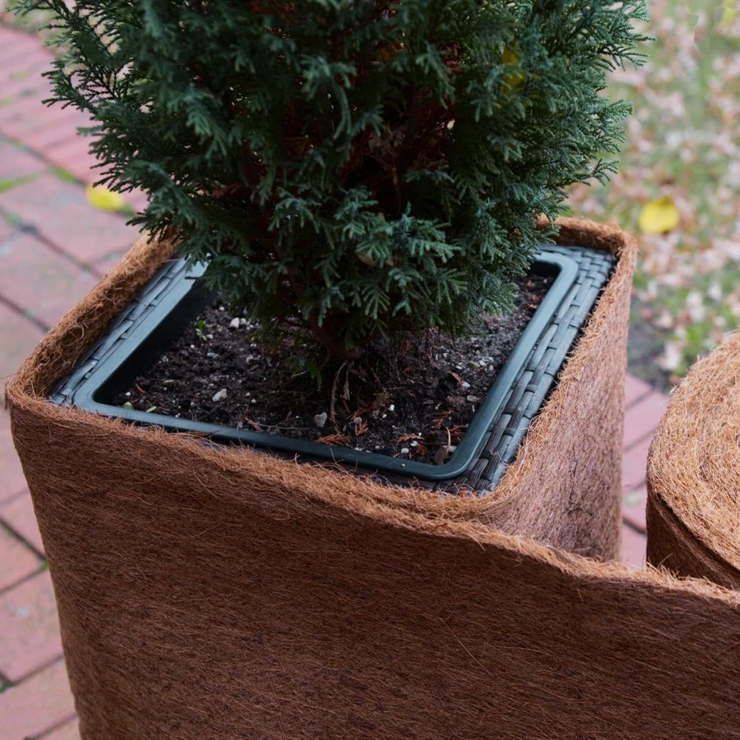 Tough Reptile Carpet Roll - Recyclable Bedding Sheet | 100% Husk Liner for Lizard, Tortoise Cage, Frog Habitat, Snake Terrarium, Outdoor Porch, Planting Base, Landscape Supply Set