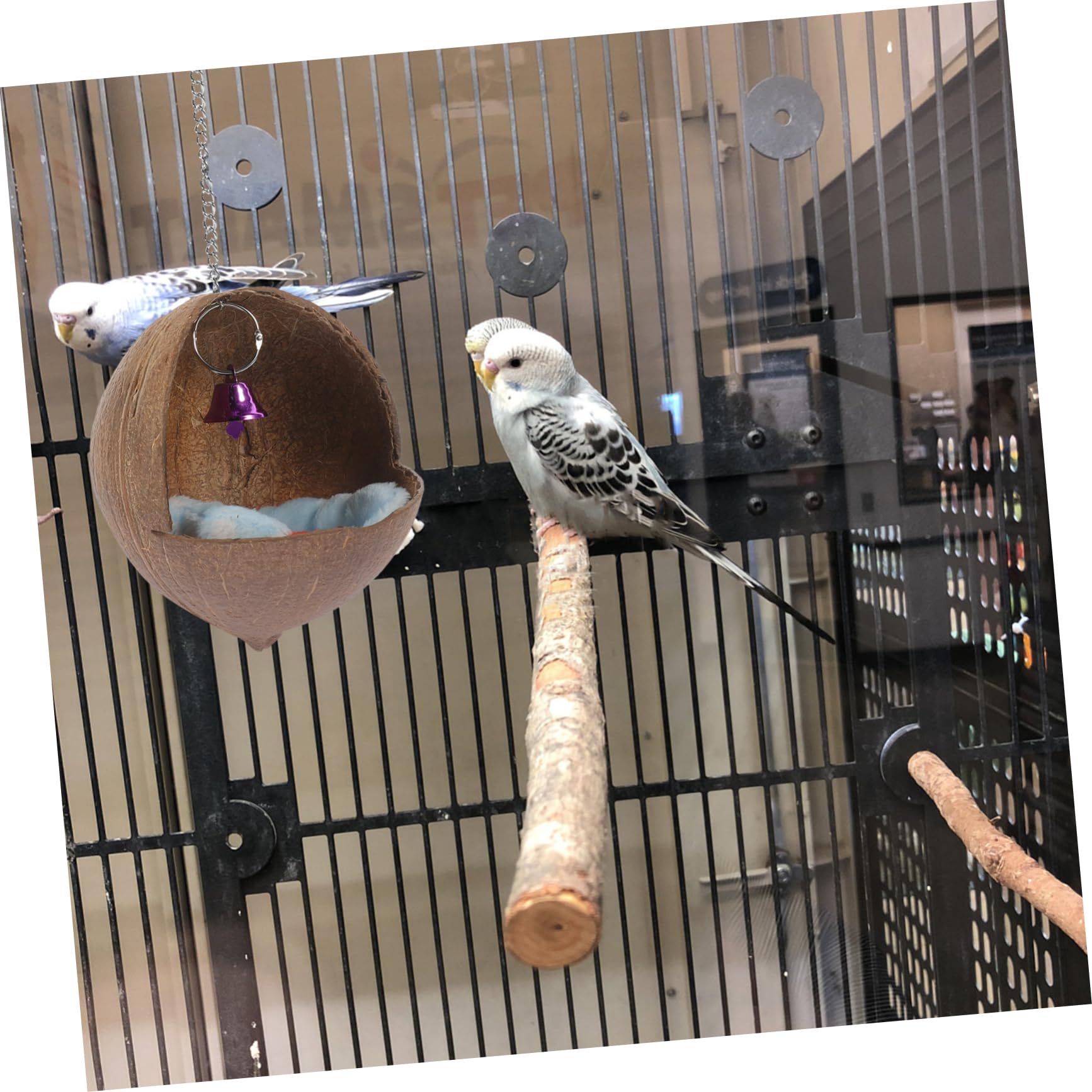 POPETPOP 3 Piezas de Nido de Pájaro de Cáscara de Cama para Loros Escondite para Periquitos Cama para Dormir con Campana