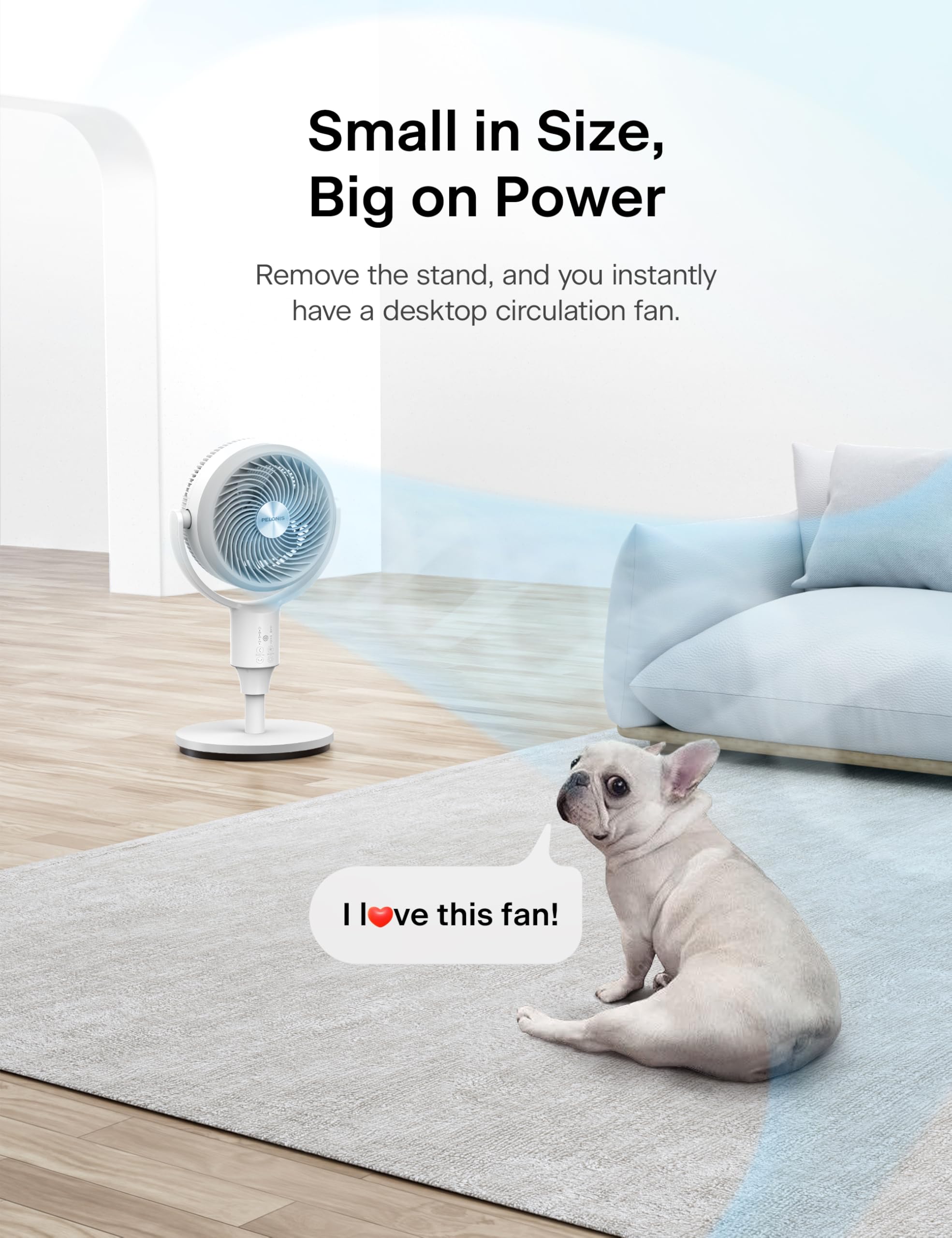 https://m.media-amazon.com/images/I/81GiPrcnscL.jpg