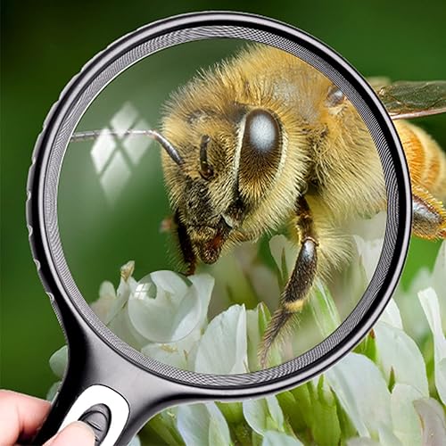 Miniatura 5 de Lupa de mano de 30X  60X con luz LED iluminada, lupa de alta potencia para pasatiempos de niños, libros de lectura, joyas