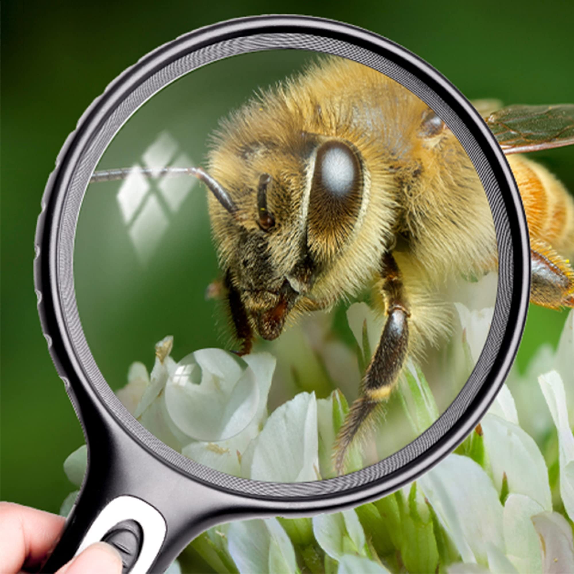 Lighted Magnifying Glass Handheld,3-30X / 60X Large Magnifying Glass with Light,Led Magnifiers for Seniors,Reading Books, Medicine Bottle Small Font - Image 5