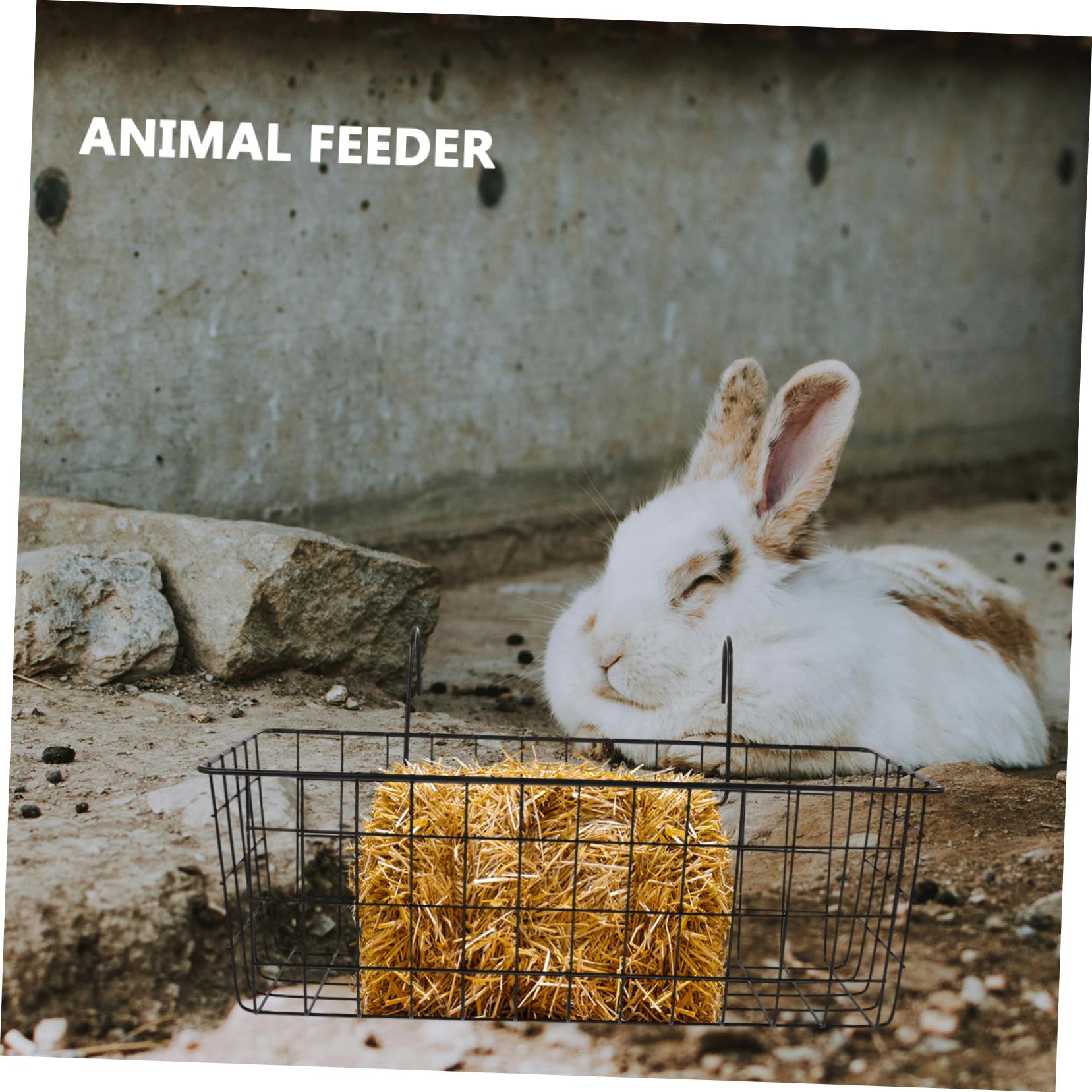 Heuraufe aus Eisen Waschbar und Leicht zu Reinigen Robuster Futterhalter für Kaninchen und Meerschweinchen für Kleintier Heufutter im Kaninchenstall