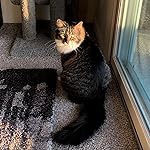 Review Image by ILuv2Decor8 ILuv2Decor8