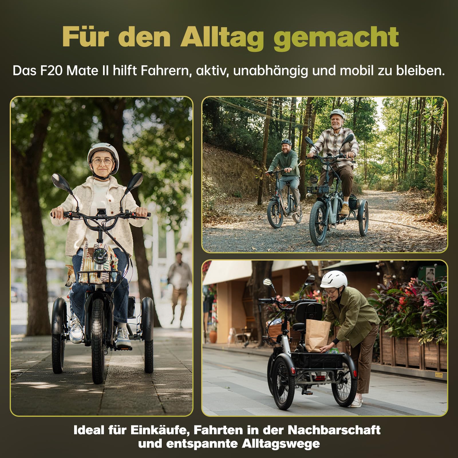 Fafrees F20 Mate II Klappbares Elektro Dreirad | Unisex für Damen & Herren | 250W Motor, 48V 21Ah Akku, 180kg Traglast, Hydraulische Bremsen – Ideal für Stadt & Senioren