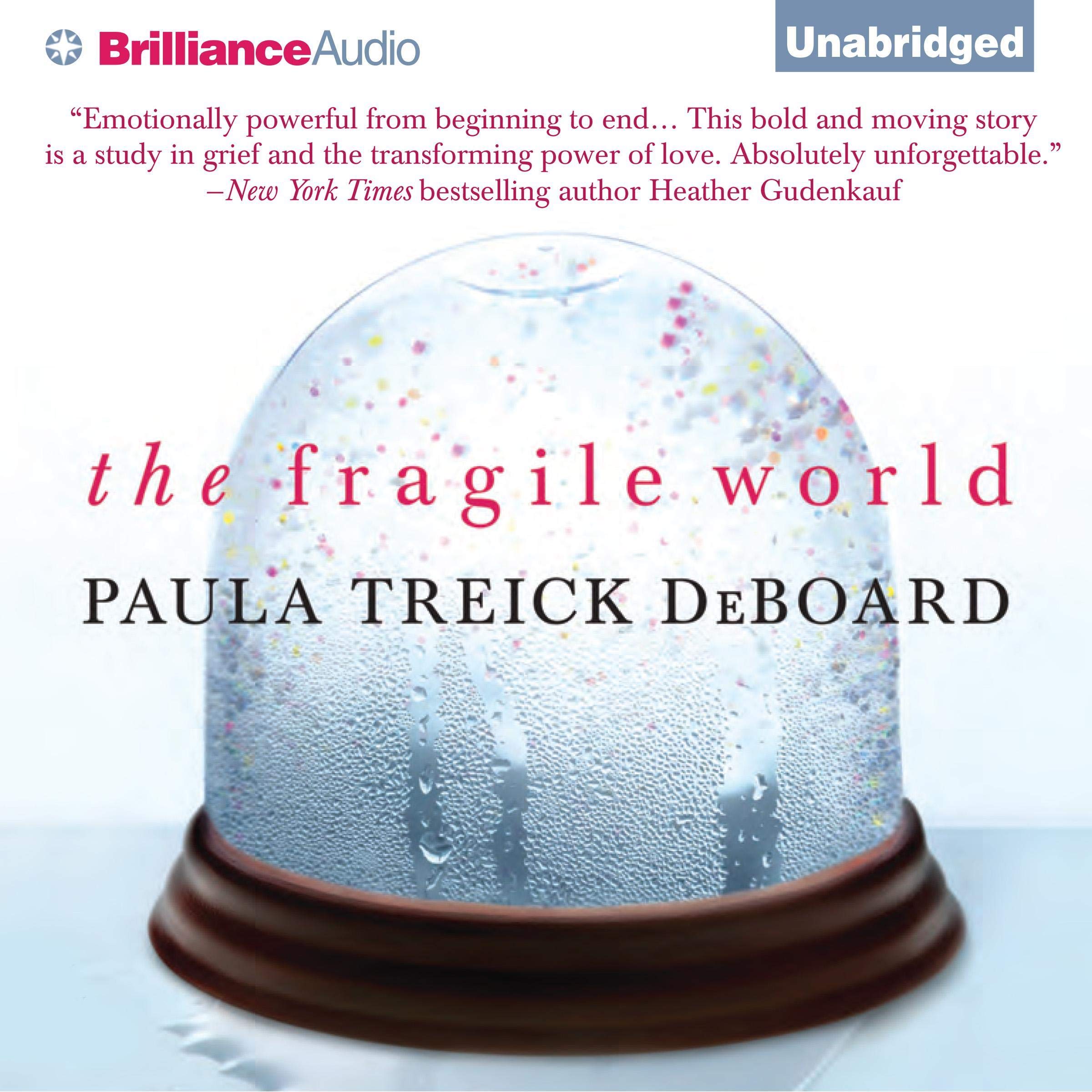 Cover art for The Fragile World