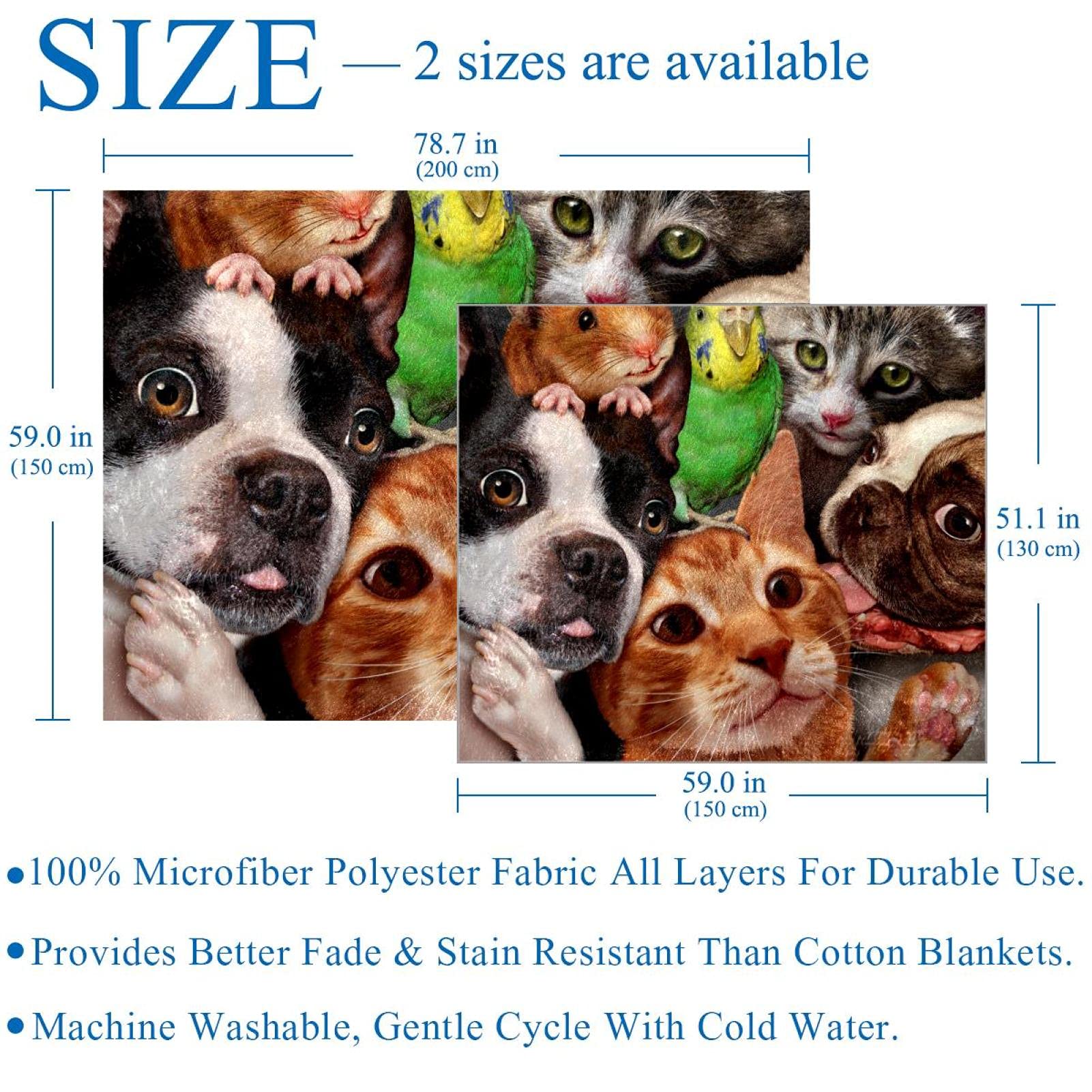 Couverture polaire super douce pour chiens, chats, perruches, rats