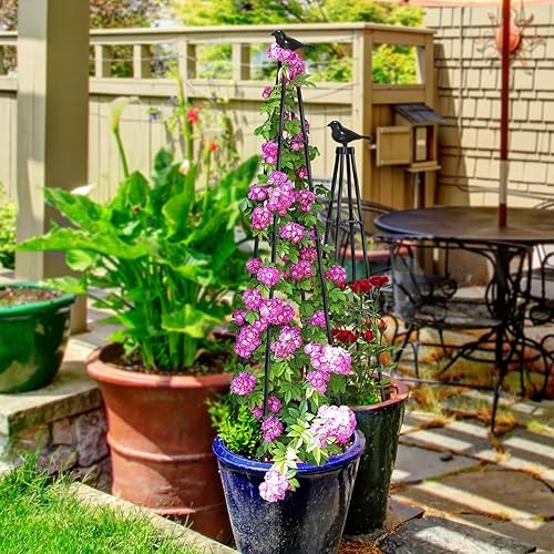 Miniatura 7 de OTOSUNNY Enrejado para plantas trepadoras, 4 pies de alto, 4 estacas con 3 soportes de 3 niveles, enrejado de jardín de rosas de metal para plantas