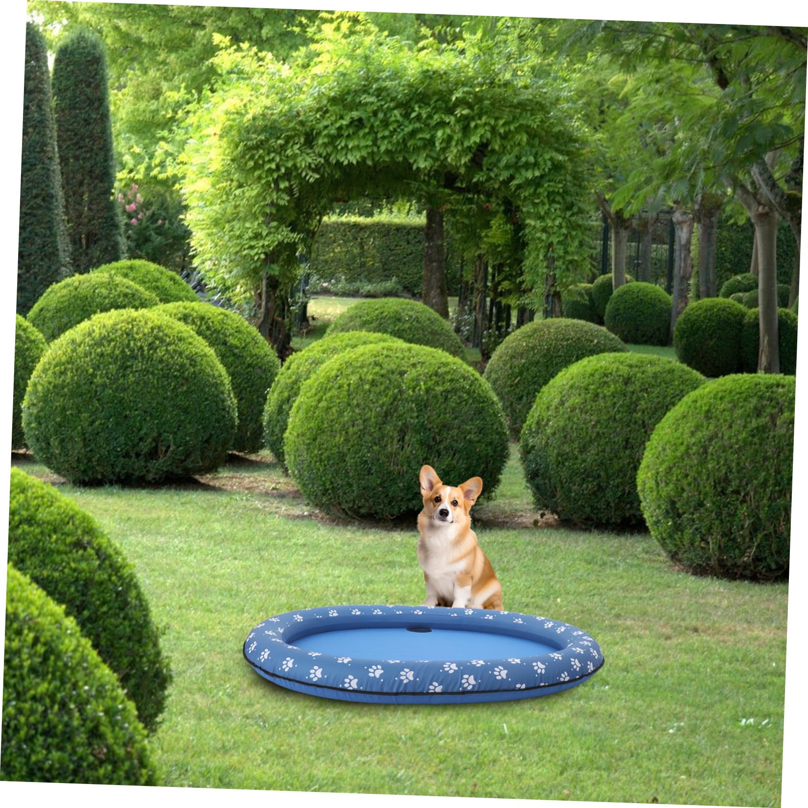 Tappetino Blu Galleggiante Gonfiabile Animali Domestici