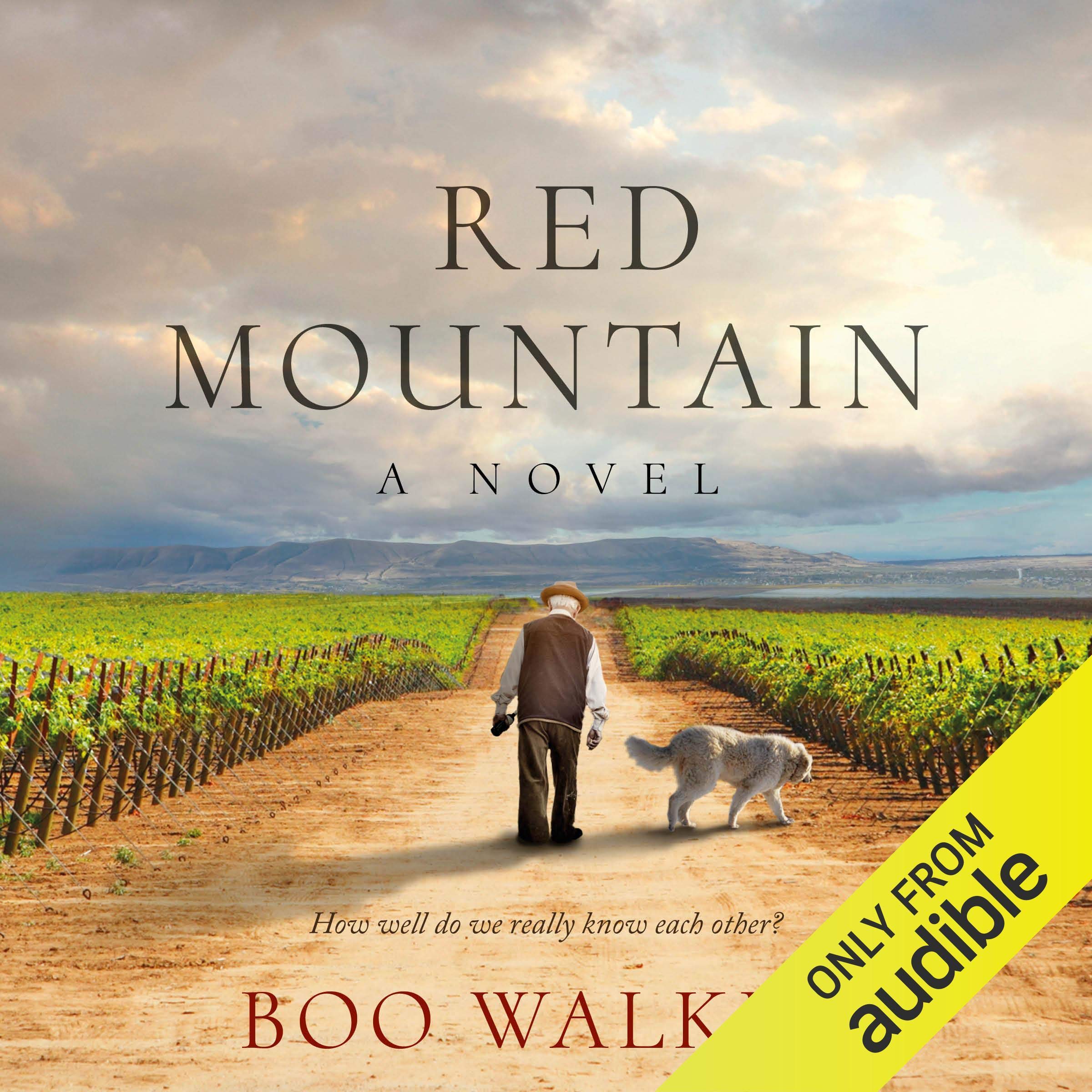 Cover art for Red Mountain
