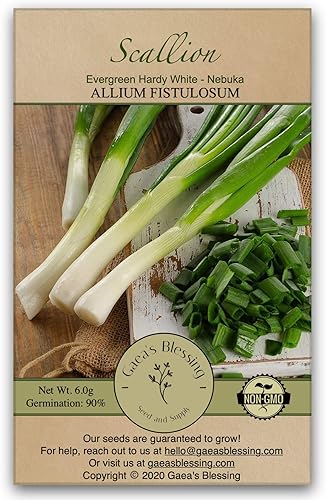 Gaea's Blessing Semillas – Semillas de cebolleta (más de 500 semillas) – Semillas sin OMG con instrucciones de siembra fáciles de seguir