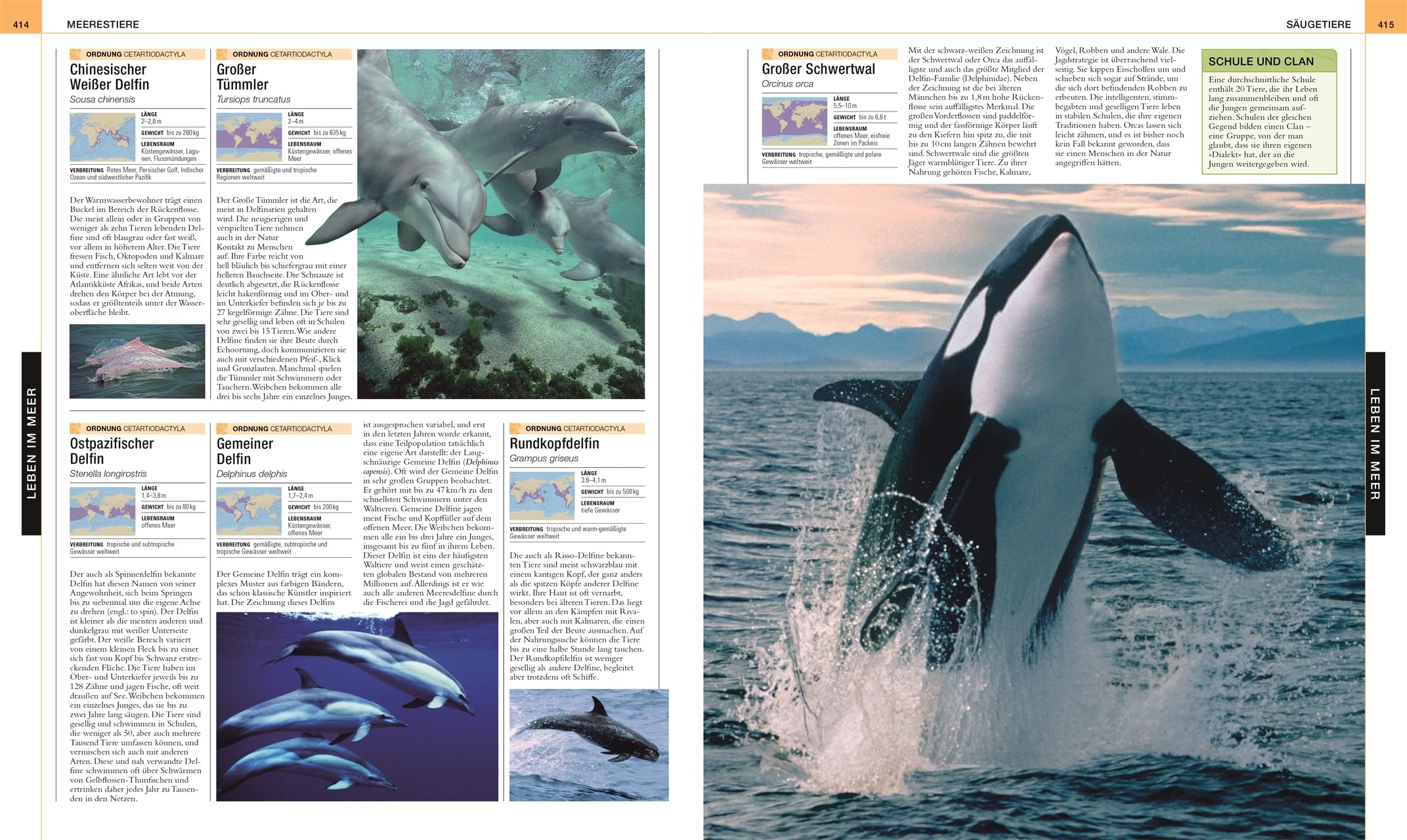 Ozeane: Die große Bild-Enzyklopädie mit mehr als 2000 Fotografien und Illustrationen (DK Bibliothek)