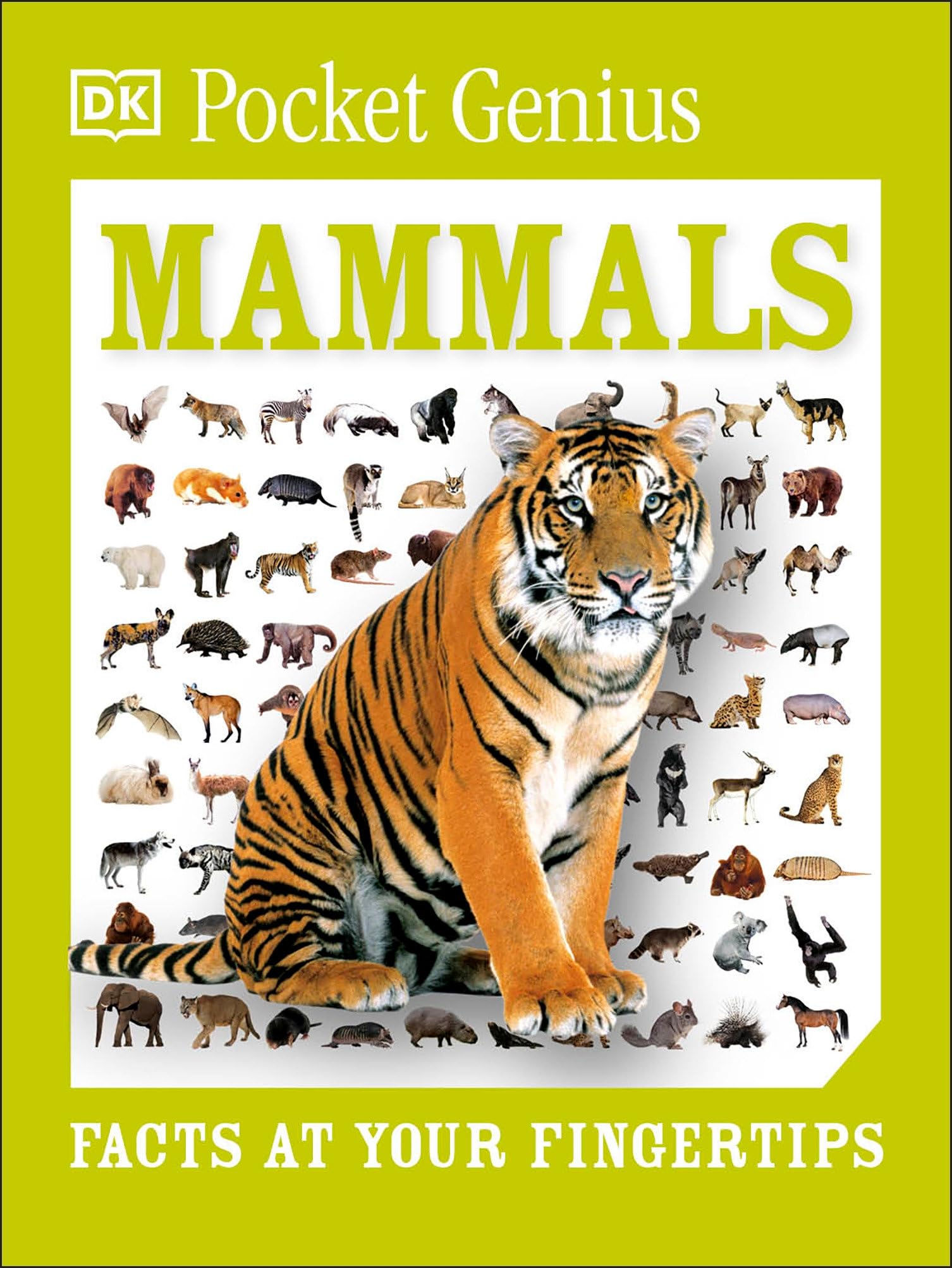 Pocket Genius Mammals: Facts at Your Fingertips Paperback – January 19, 2016