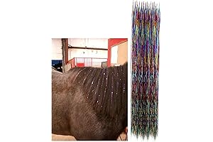 Dielianyi Horse Bling Accessory: Radiating Brilliance for Equestrian Elegance