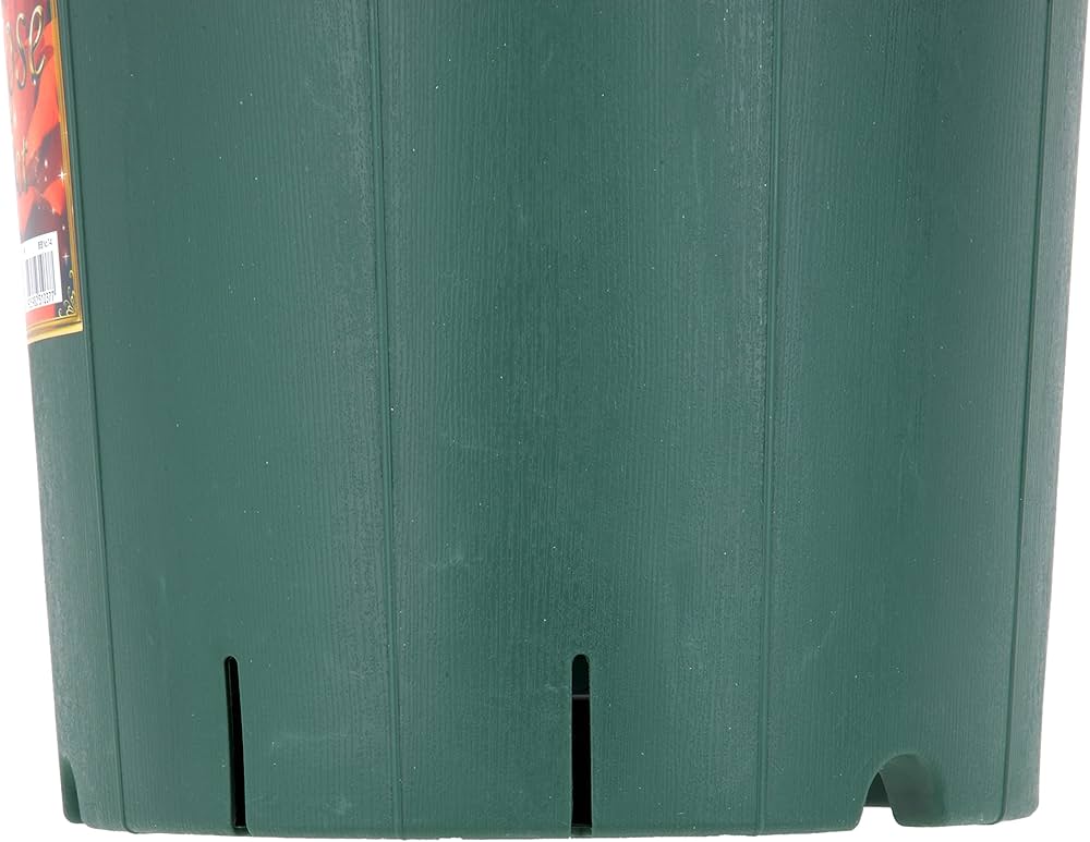 Amazon | アップルウェアー バラ鉢 8号 | 鉢