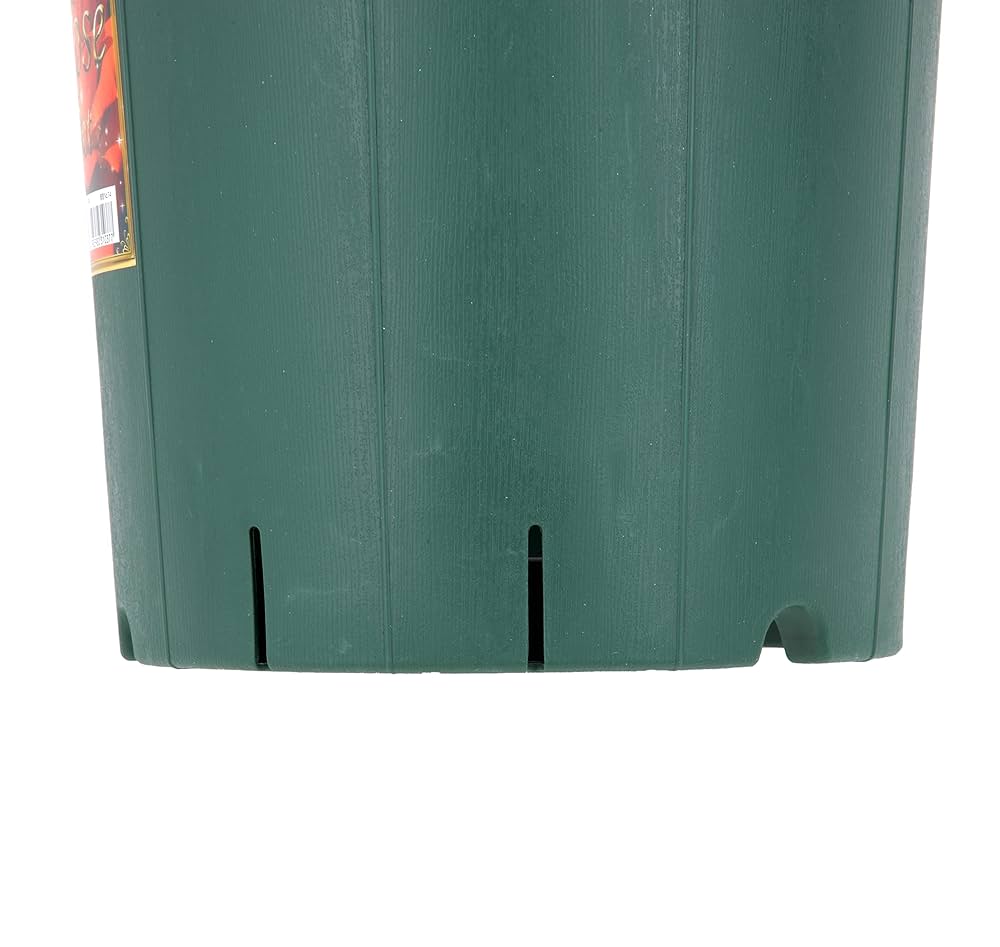 Amazon | アップルウェアー バラ鉢 8号 | 鉢