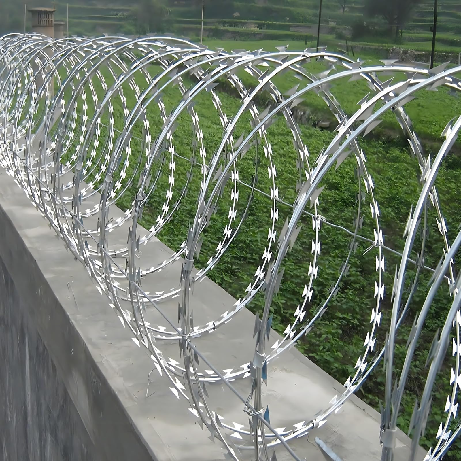 Razor Wire, Double Spiral, Steel, Silver, 98 Feet