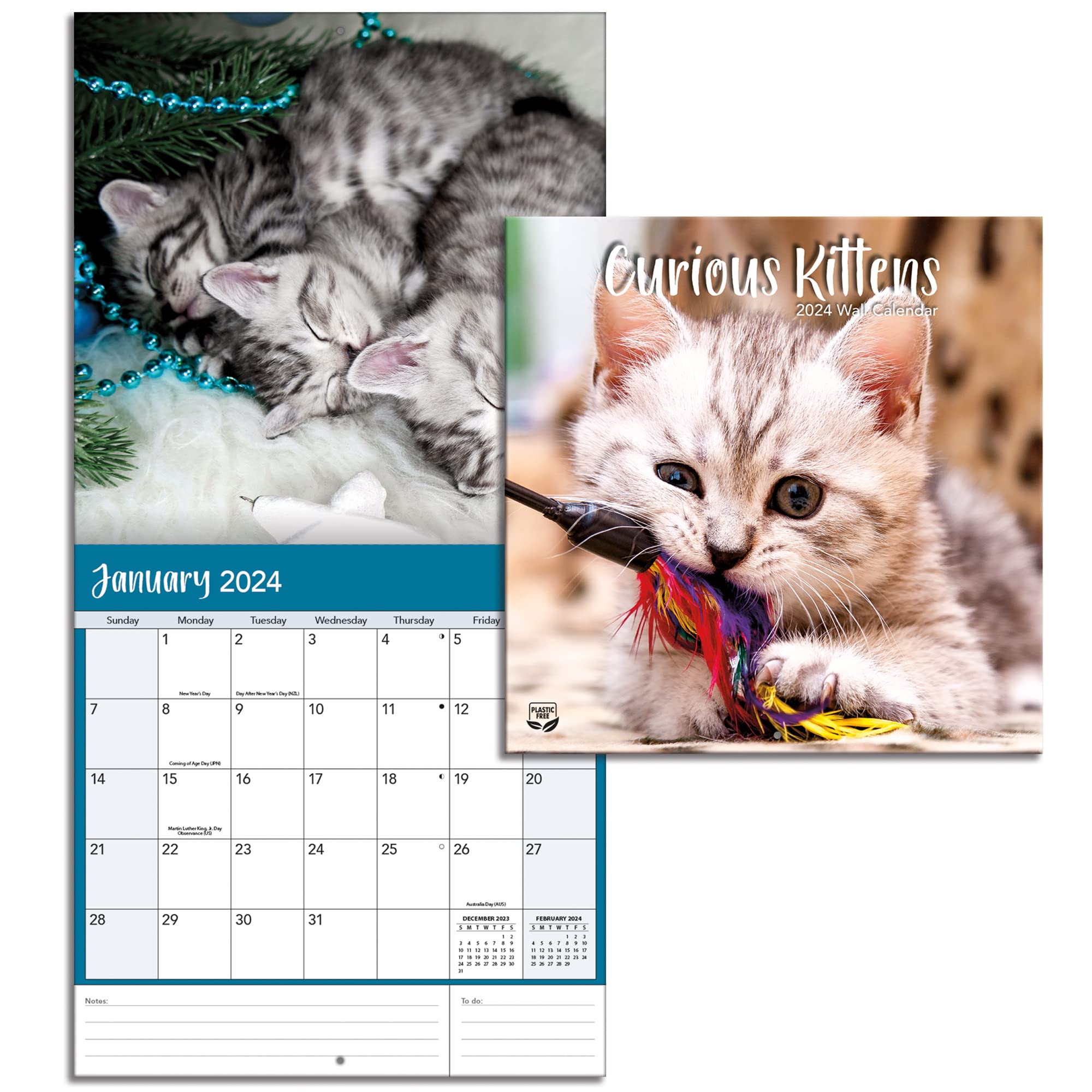 TURNER PHOTOGRAPHIC All Mixed Up! 12X12 Photo Wall Calendar...