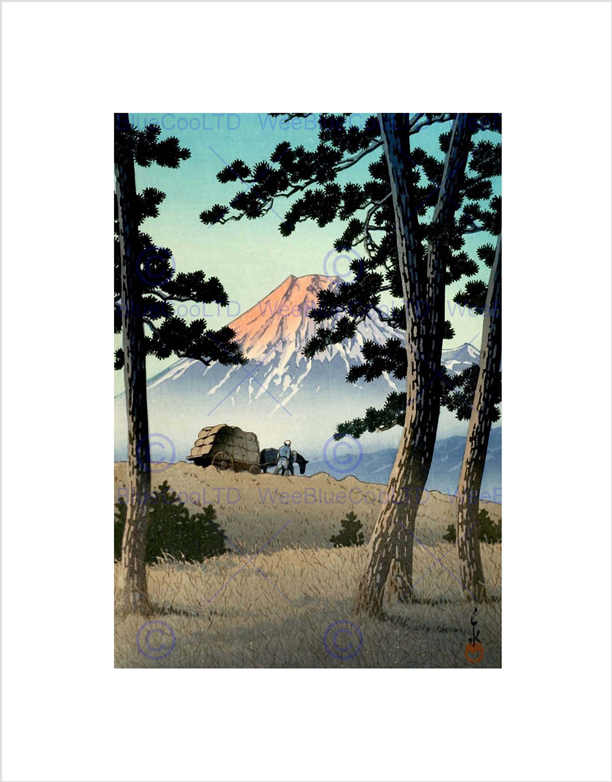 Wee Blue Coo Cultural Nature Landscape Japan Fuji Kawase Hasui Wall Art Print