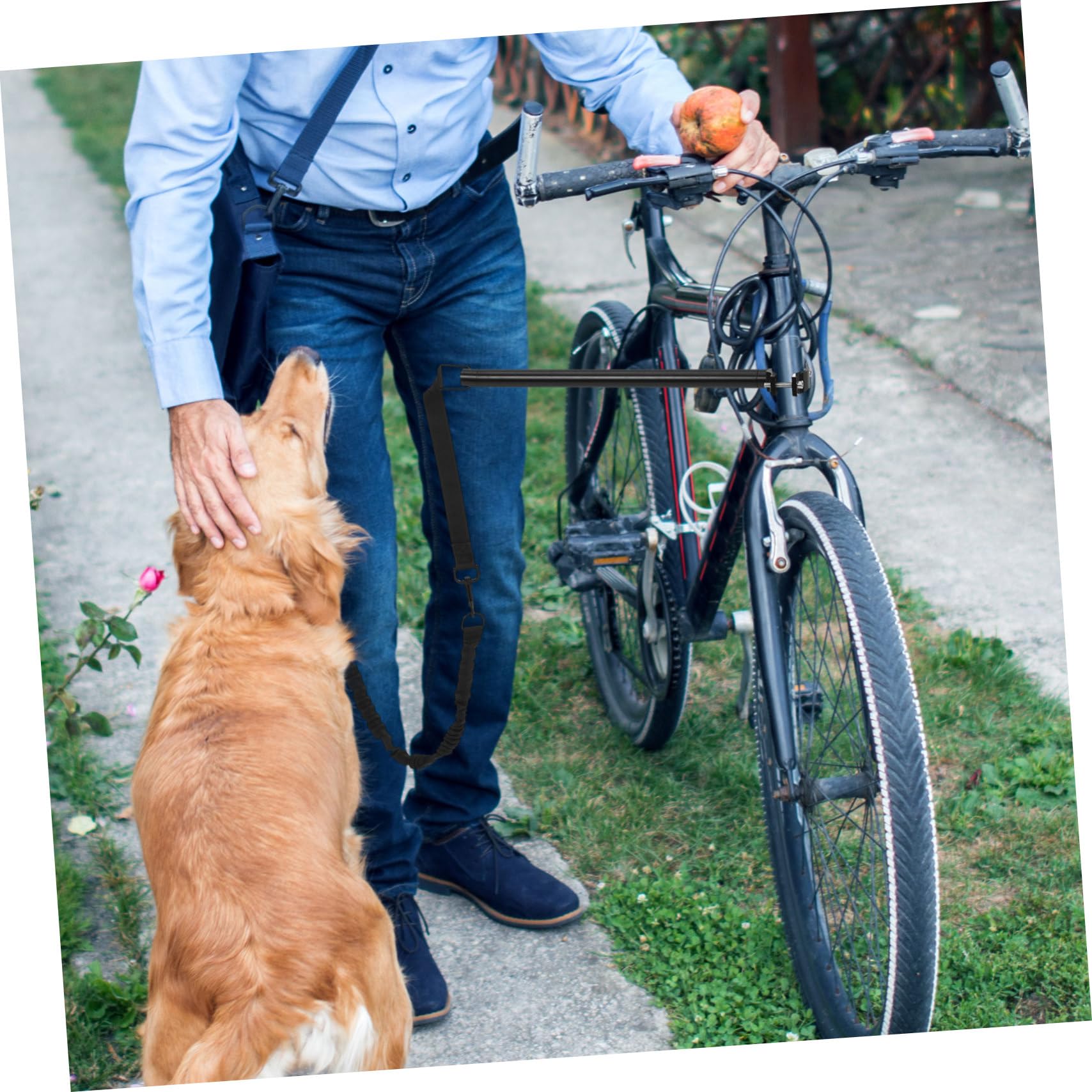 VICASKY Guinzaglio Oxford e Lega Resistente All’usura per Cani da Bicicletta Espandibile per Cani Piccoli e Medi, per Trekking e Viaggi