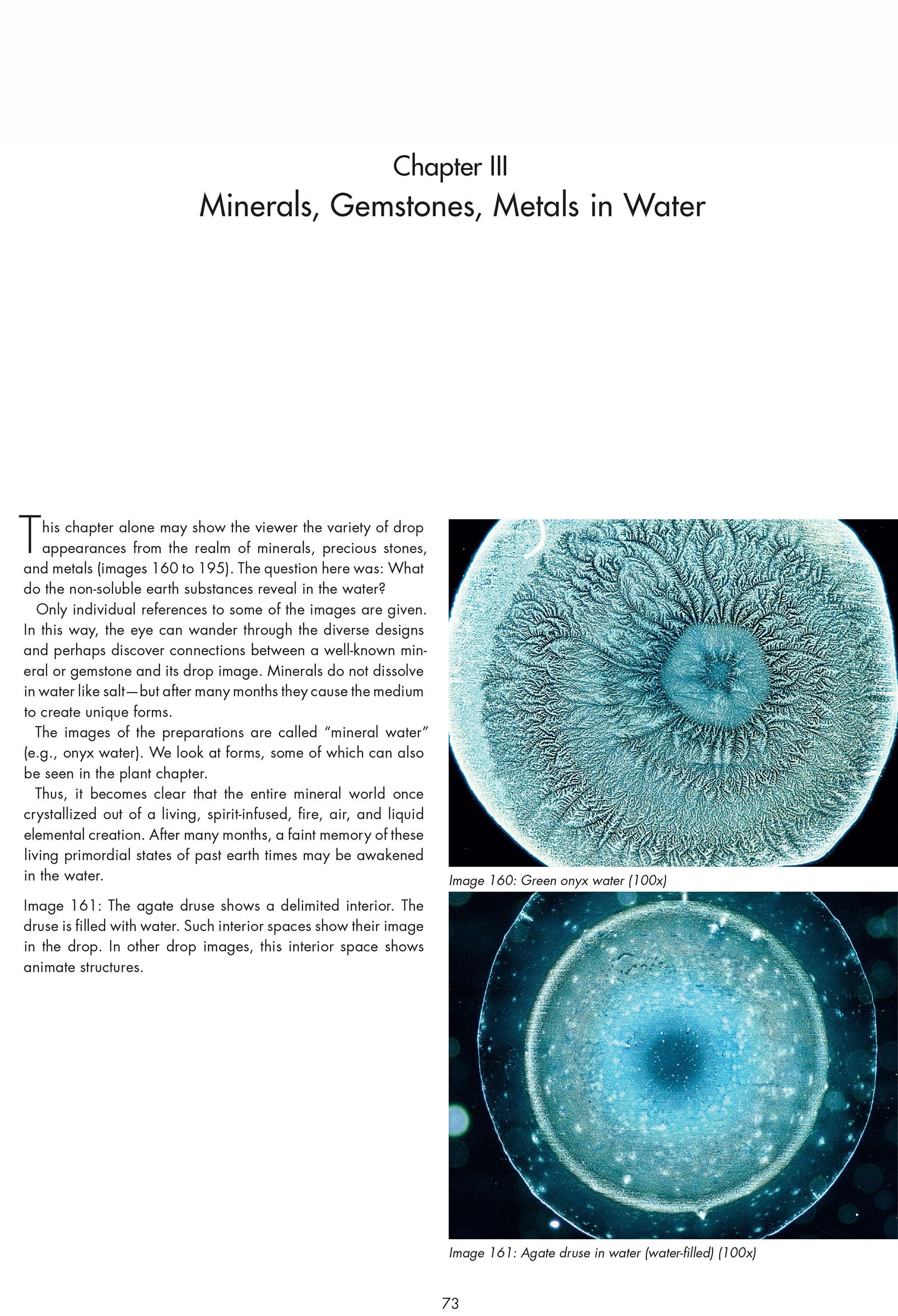 The Silent Language of Life: Research into Formative Forces in Water Drops