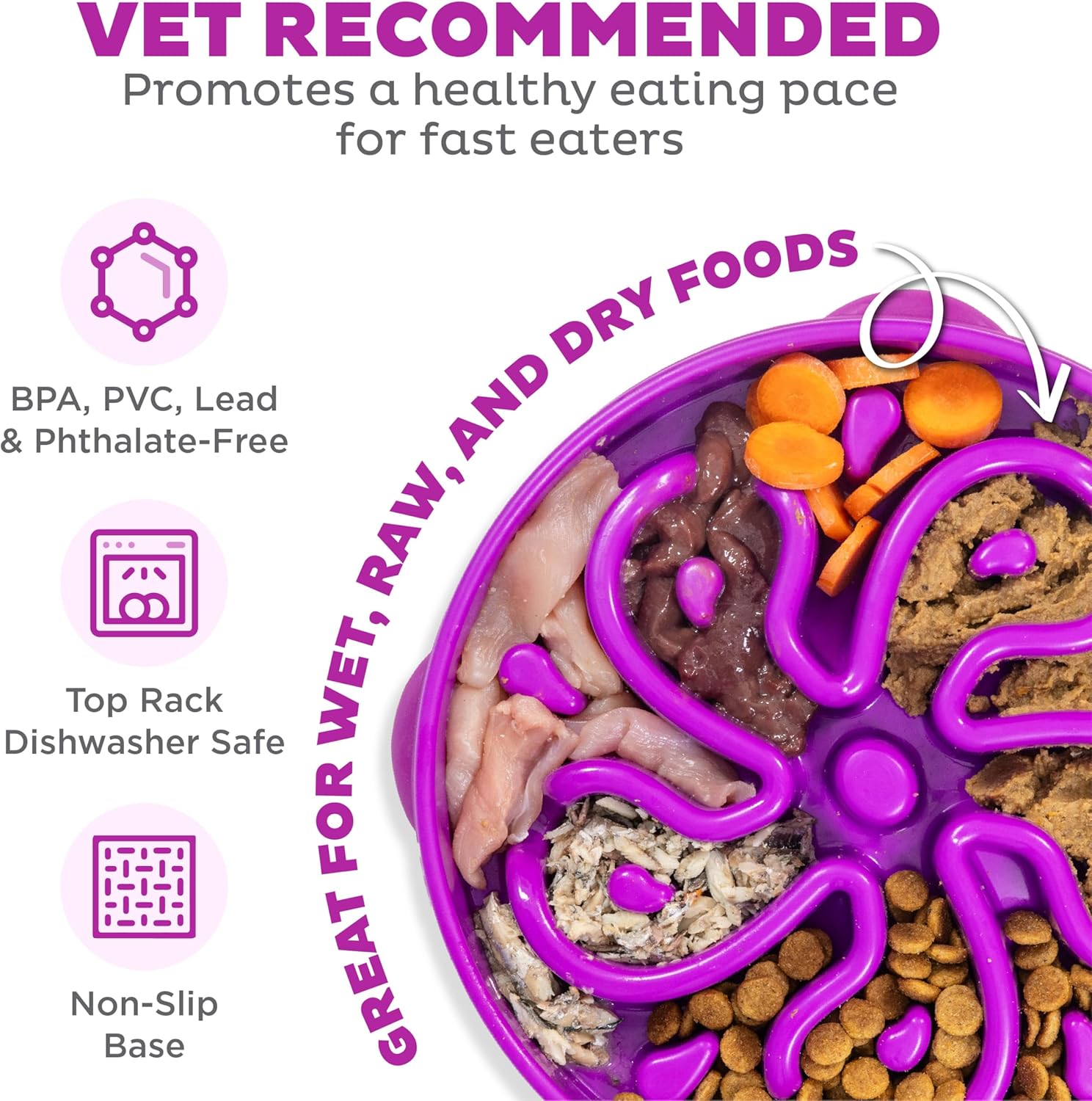 Tame Fast Eaters: Outward Hound Slow Feeder Bowl Review