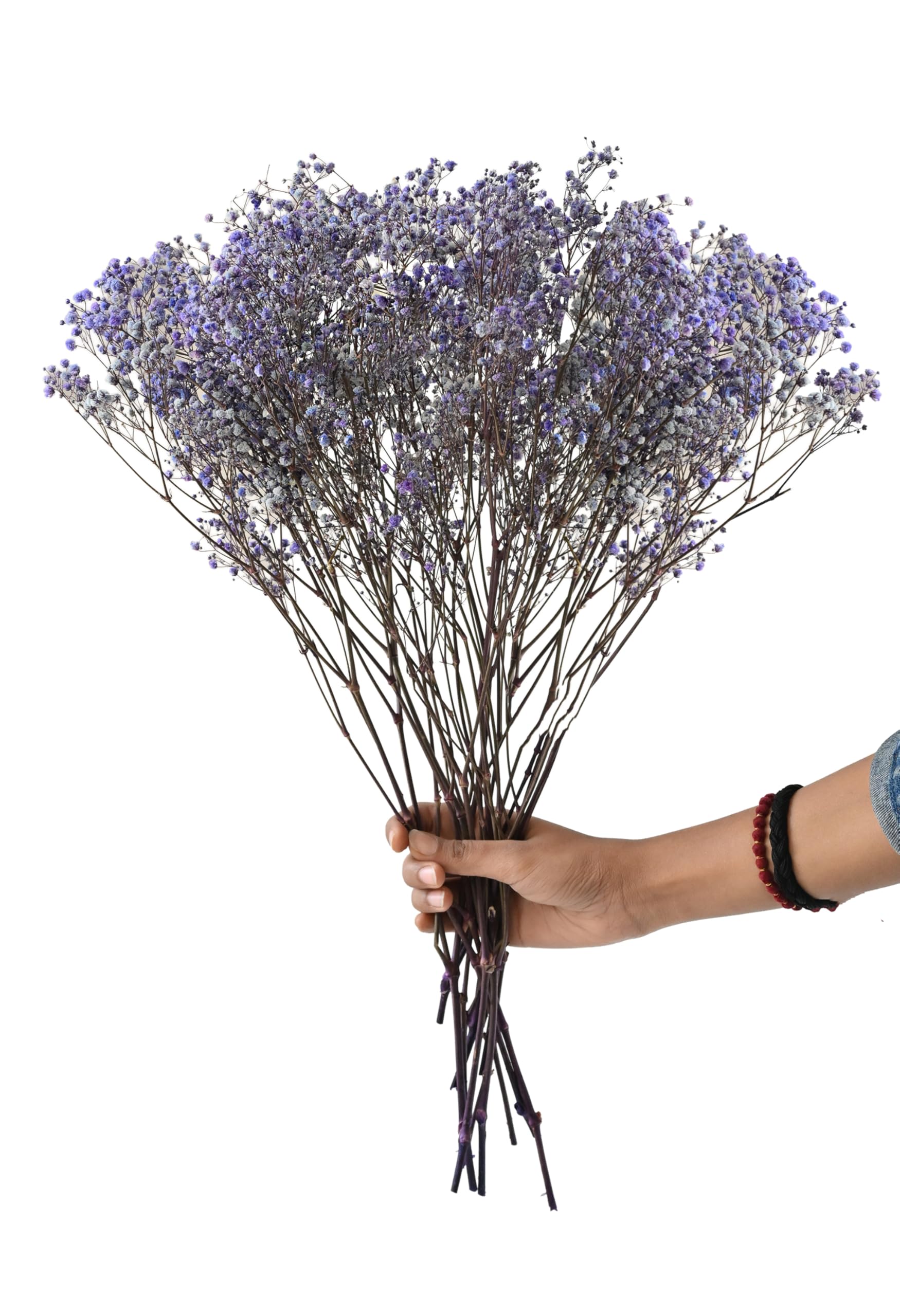 Versailles Preserved LavenderBaby's Breath Bouquet | Preserved Gypsophila Flowers for Home Decor, Wedding Centerpieces, DIY Crafts | Real Flowers | Luxury Home Decor | Gift for Women-image-15