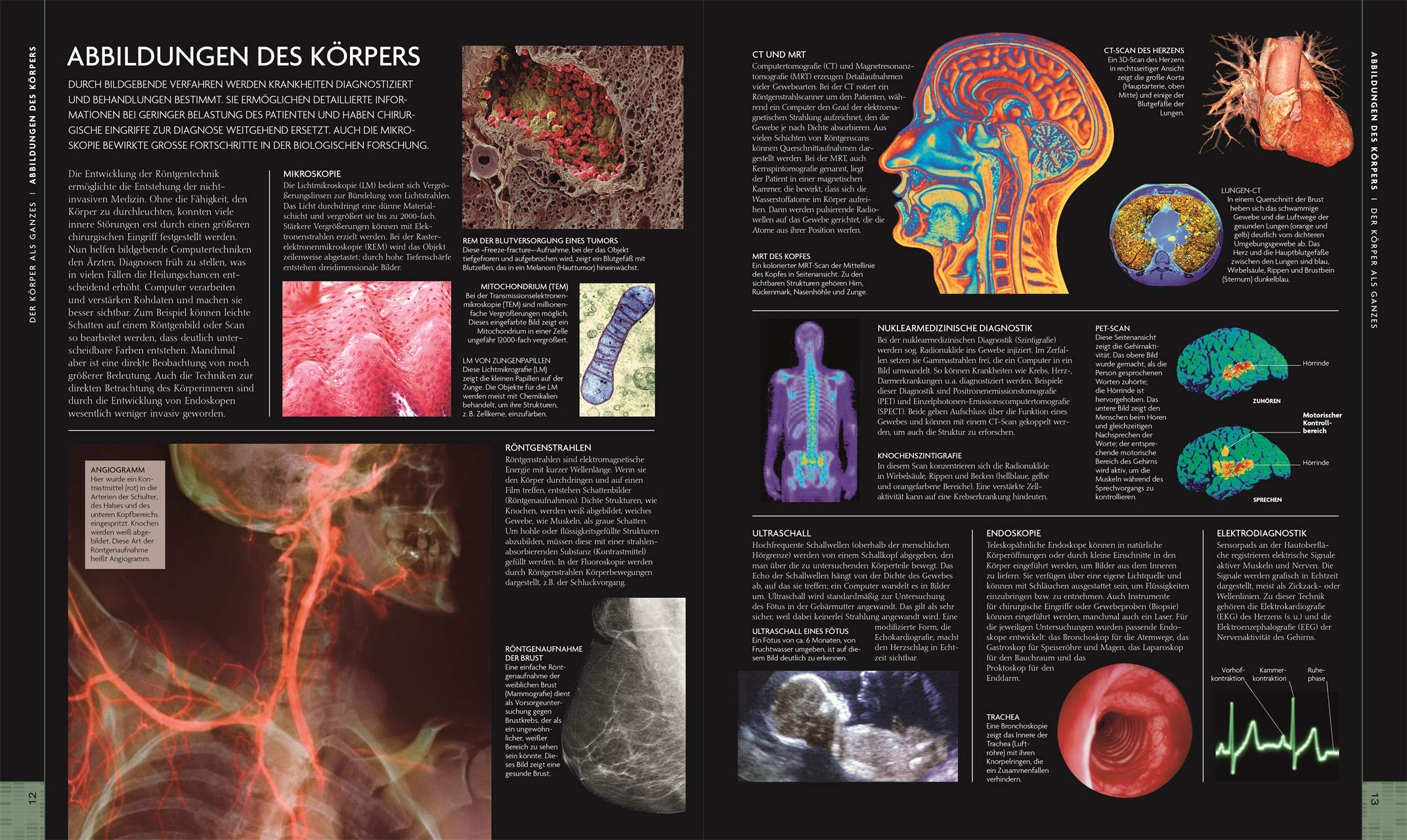 Der menschliche Körper: Bildatlas der Anatomie. Mit interaktivem Bildmaterial zum Download