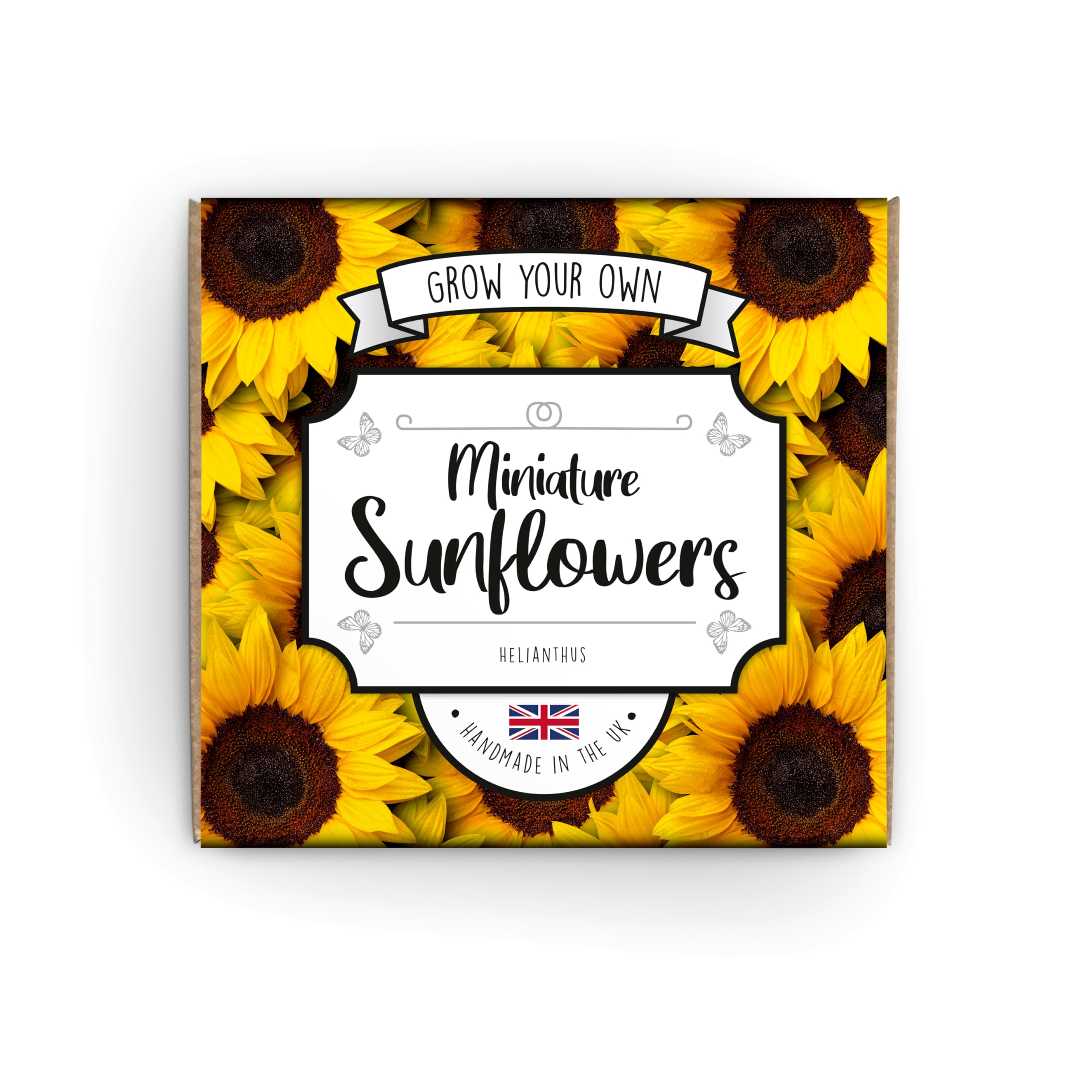 GYO Miniature Sunflowers | Complete Beginner Starter Kit | Easy Instructions | Made in UK | Perfect Gardening Gift for Any Occasion | Desktop Sunflower