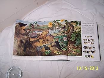 The Wonders of Life on Earth (in Slipcase): Ross, N.P., Ed