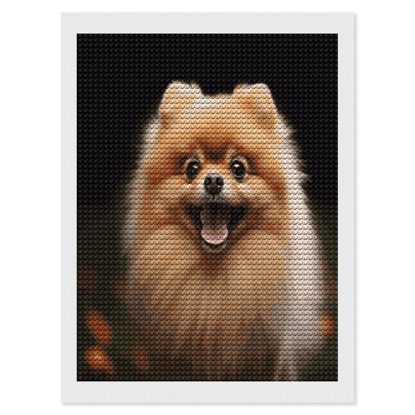 LDGSUPH Pomeranian Diamond Painting Kits for Adults Paint with Diamond Pictures Art DIY Full Drill Diamond Dots Painting Personalized Diamond Photo for Home Wall Decor Gift 12"x16"