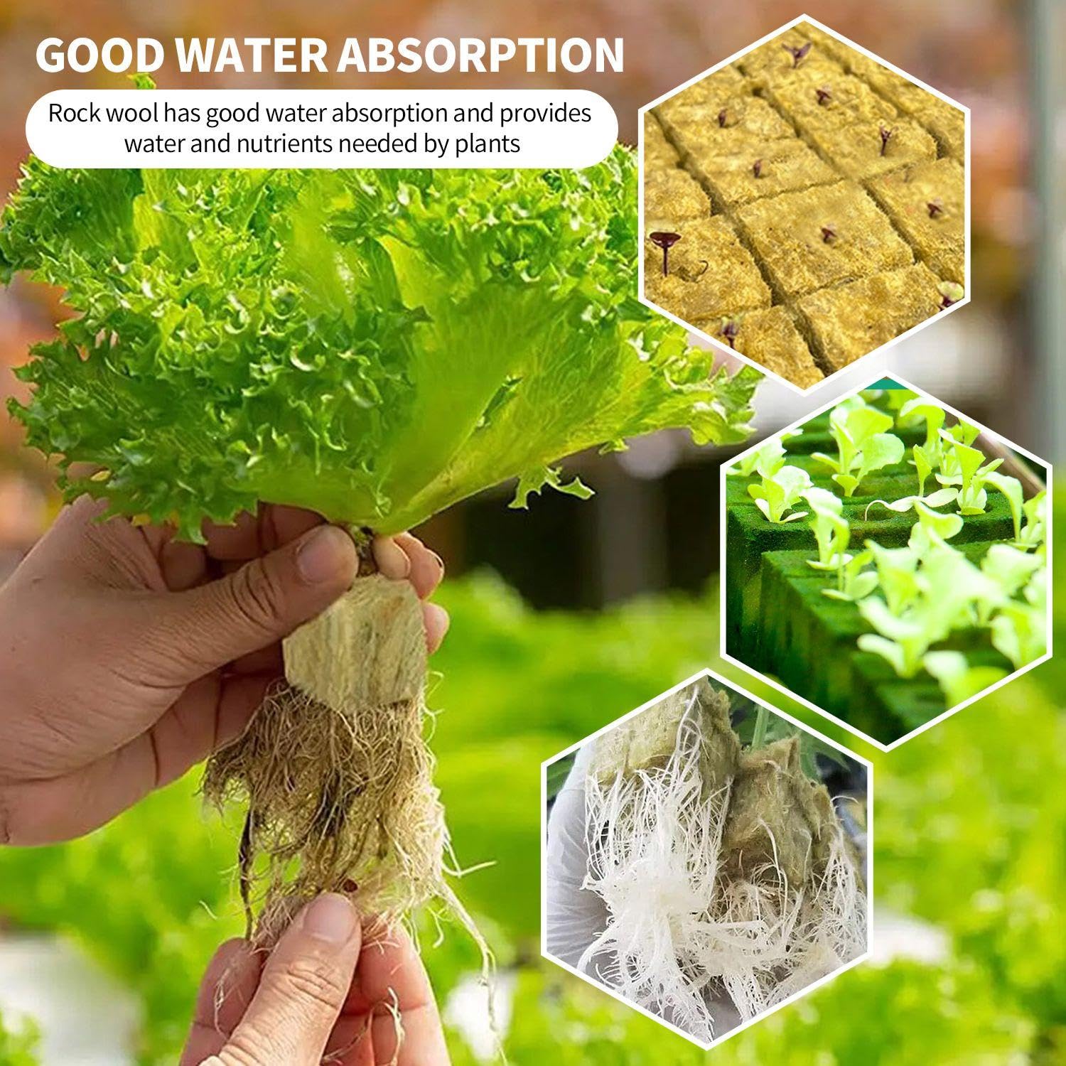 28 Cubi Lana Di Roccia Per Idroponica - Blocchi 40x40mm Per Semina E Coltivazione Piante - Foto 2